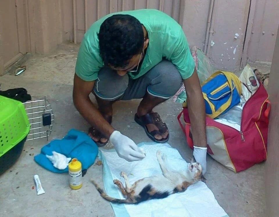 aden cat with Akram OWAP-AR providing.jpg