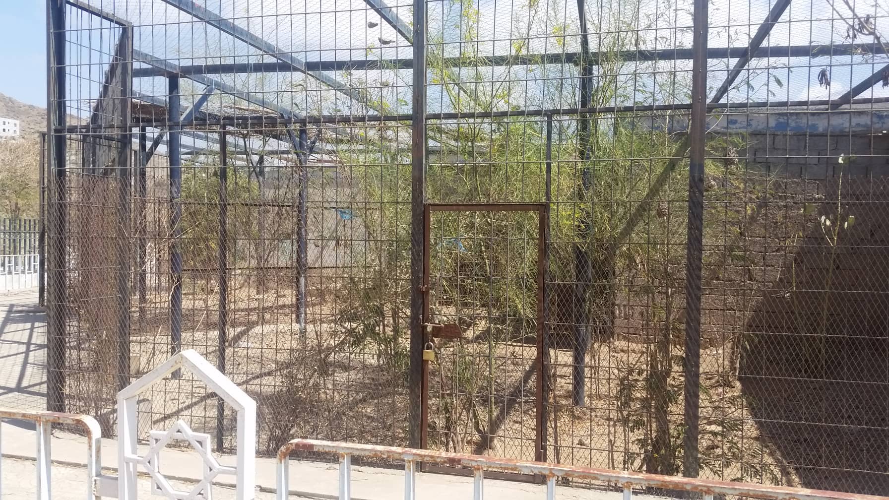 taiz 9 FEB 2019 OWAP-AR copywrite zoo yemen outside enclosure.jpg