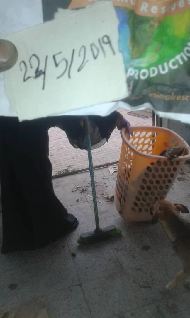 stray SAMAH cleaning with ASEMA OWAP AR 22 May 2019.jpg