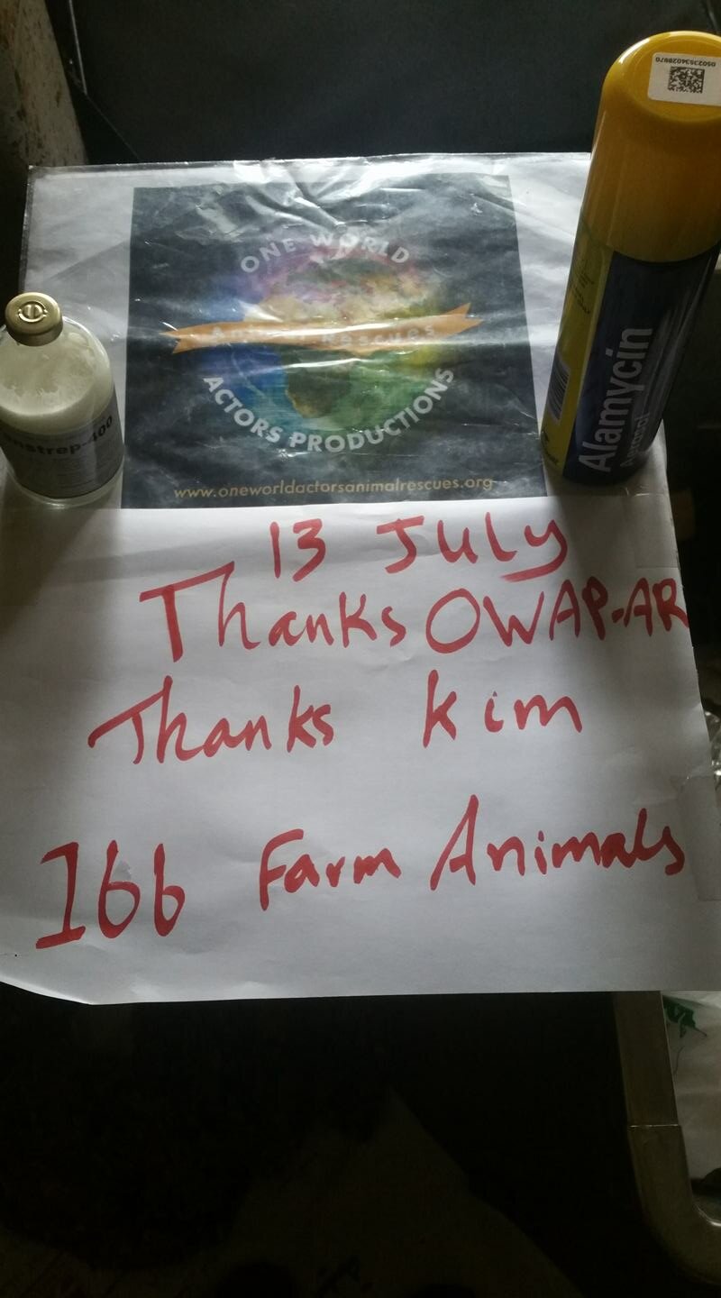 ibb col penstrep and disinfect spray 13 July 2019 Yemen farm rescue OWAP AR sign.jpg