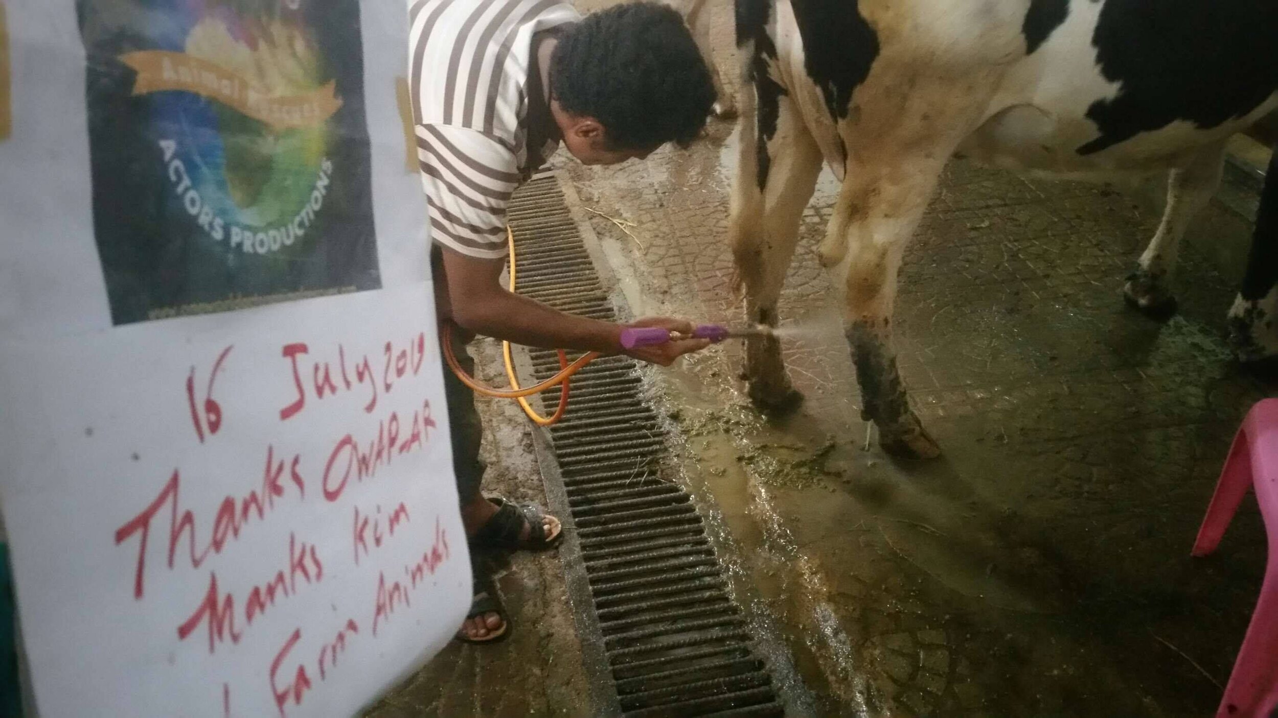 ibb col washing legs 16 July 2019  thanks to OWAP AR sign farm rescue.jpg