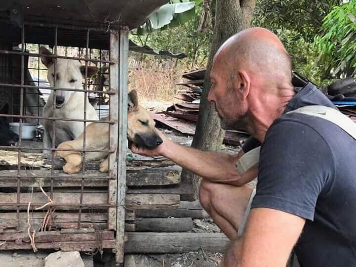 SOA Michael CHOUR saving animals from the dog meat trade in Thailand and Cambodia.jpg