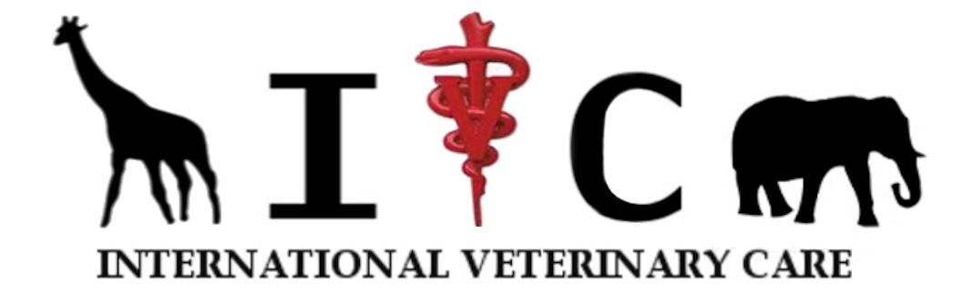 IVC logo.jpg