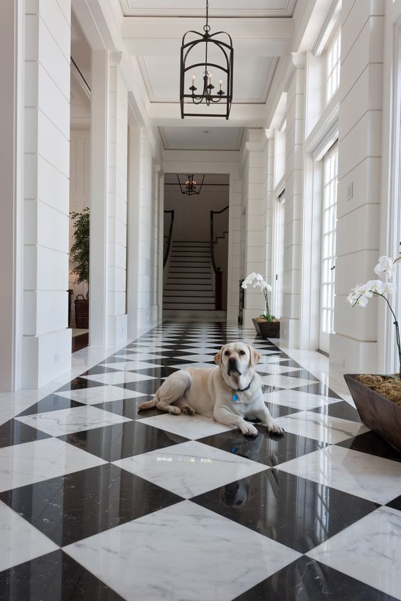 Interior Design - Jill Shevlin Photo by Aric Attas