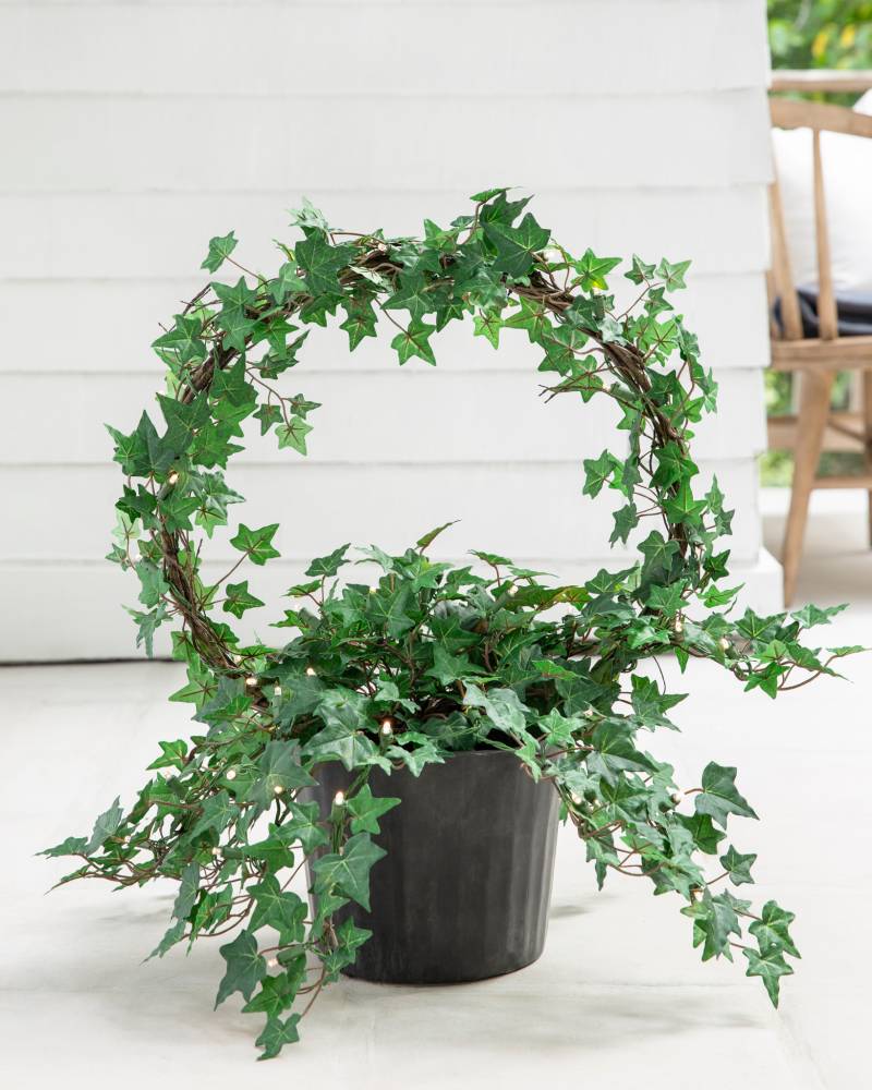 outdoor safe circle topiary
