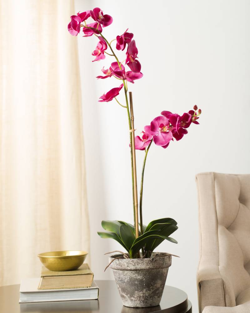 faux orchid