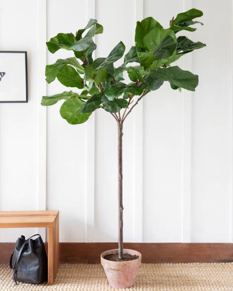 faux fiddle leaf tree