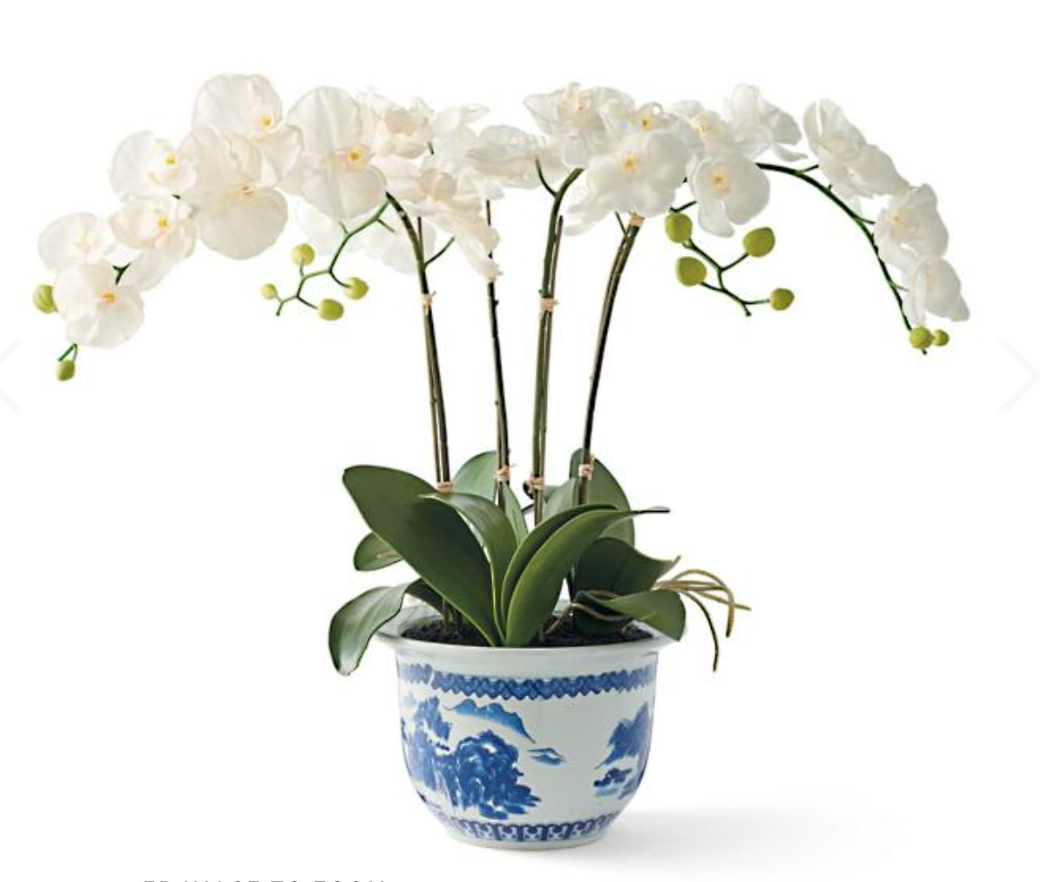 faux orchid