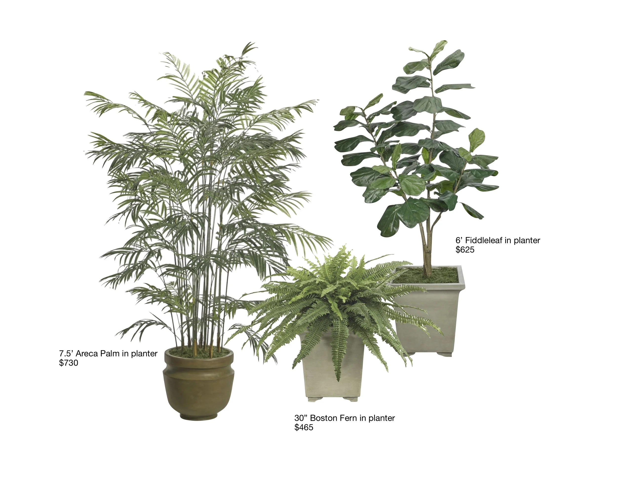 These beautiful quality faux plants from NDI are a perfect solution in circumstances where live plants would not thrive. NDI is sold through luxury retail stores and designers ( contact me to order)