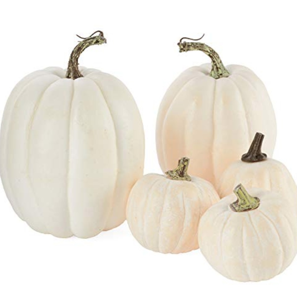 Set/5 3.5"-7" white pumpkins