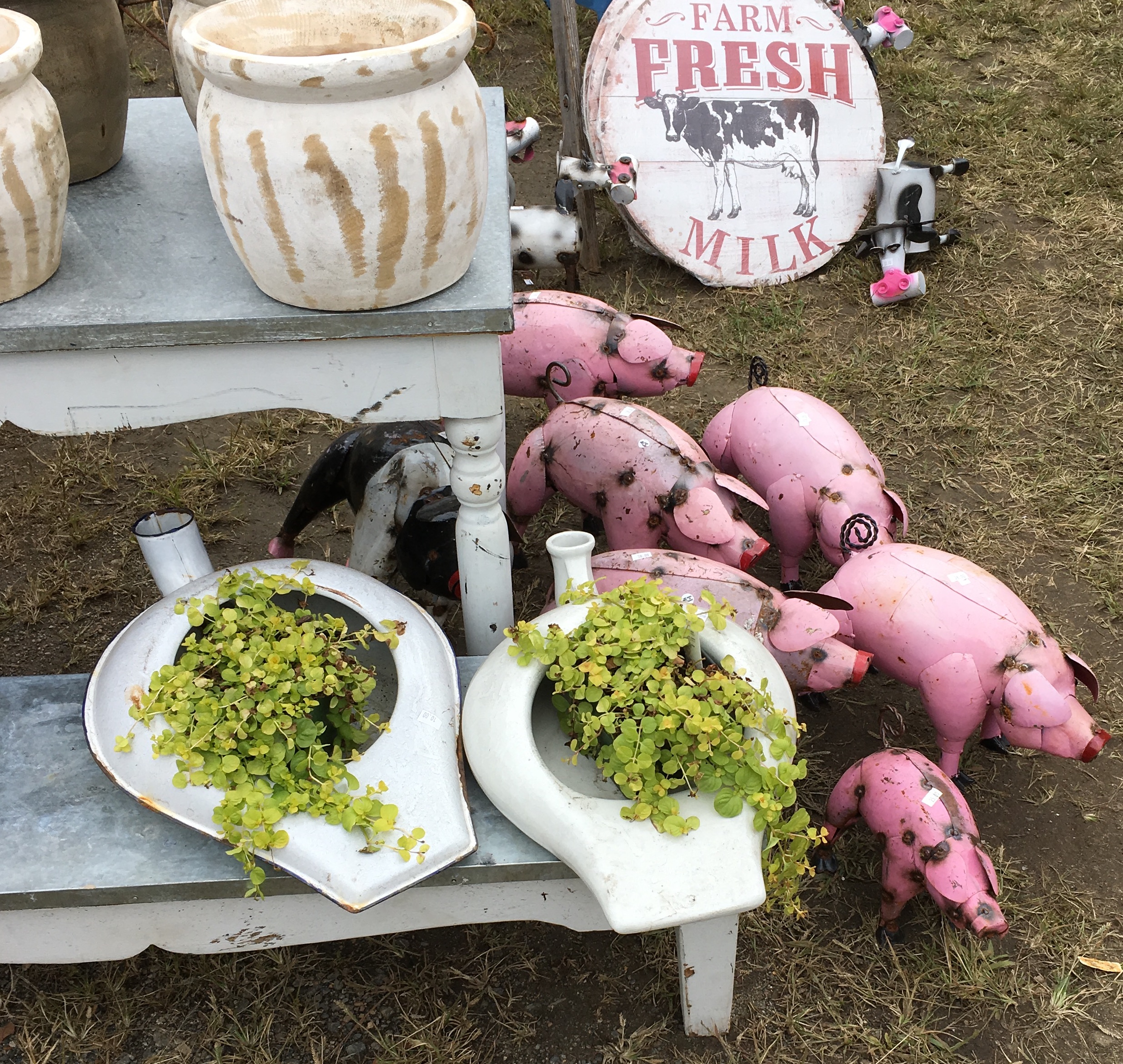 metal pigs and planters from...is that a bedpan??