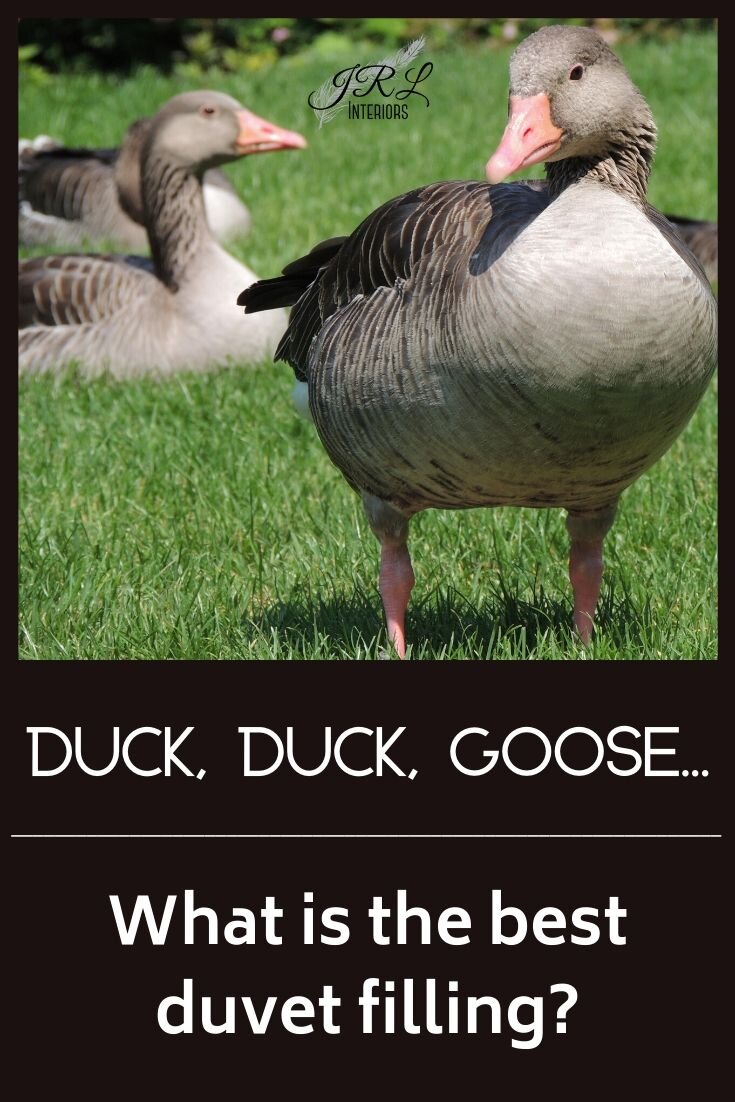 I wanna be where the geese's are… @Goose Goose Duck