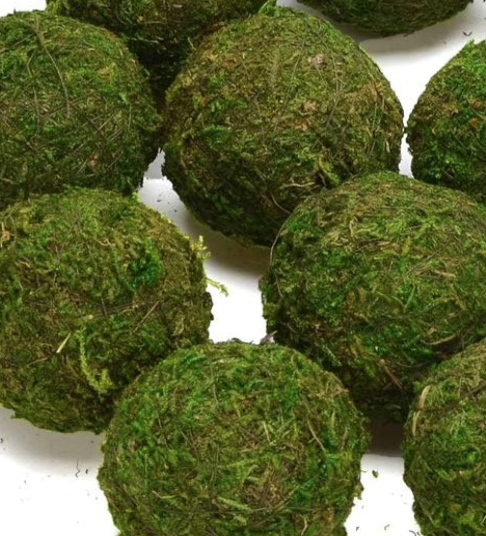 moss balls, set of 6