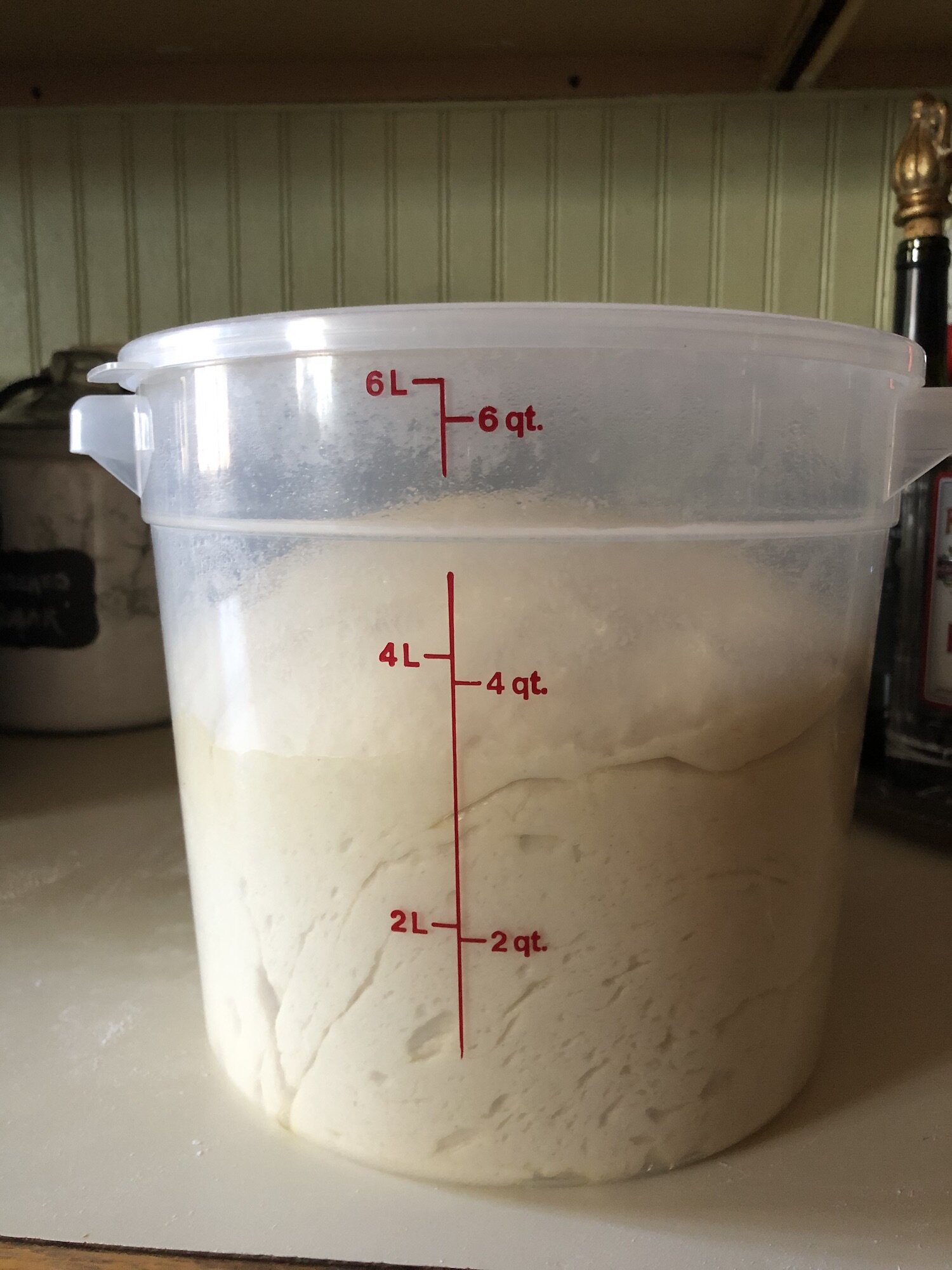 Dough after rising.jpg