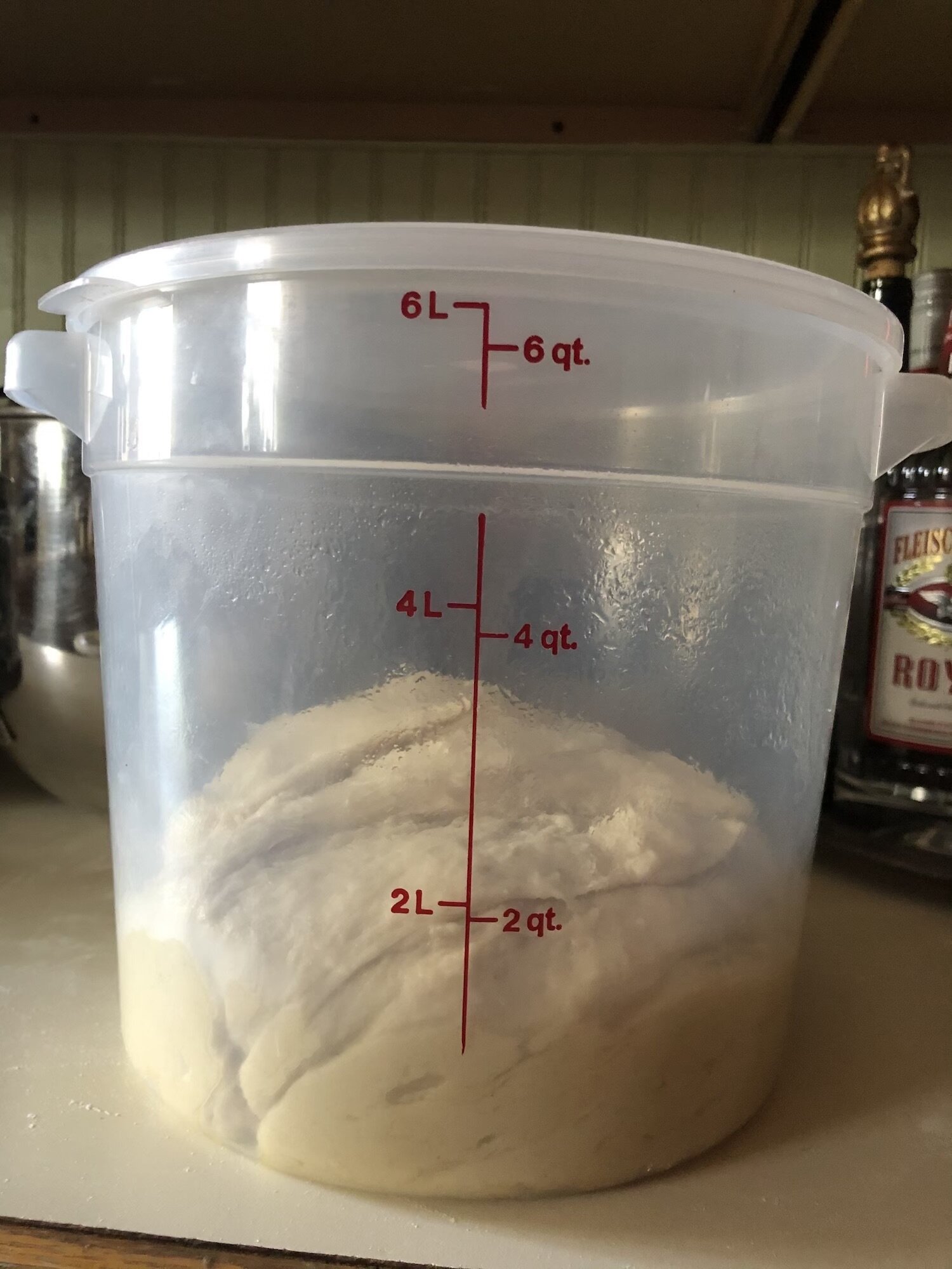 Dough before rising.jpg