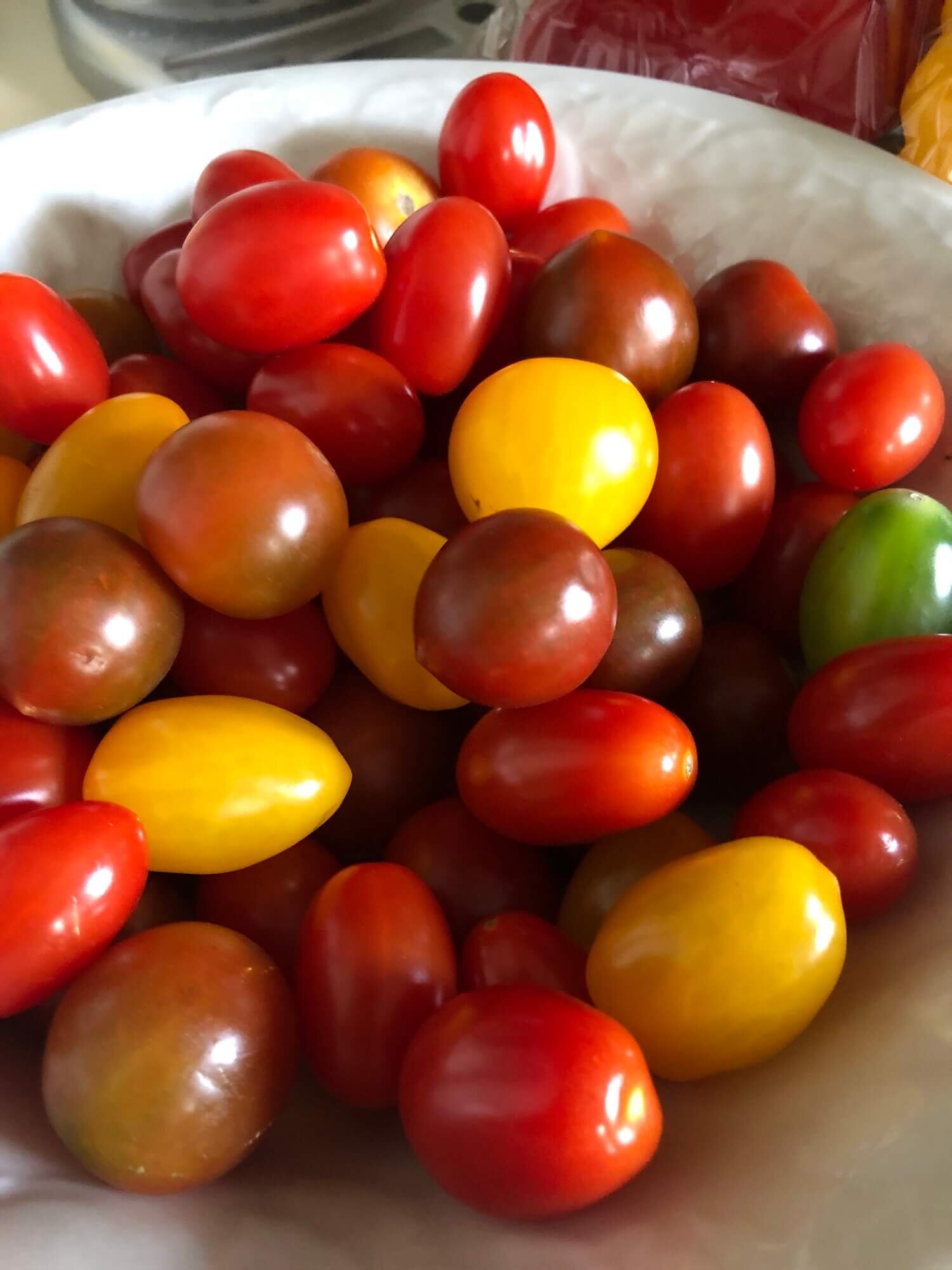 multicolored cherry tomatos.JPG