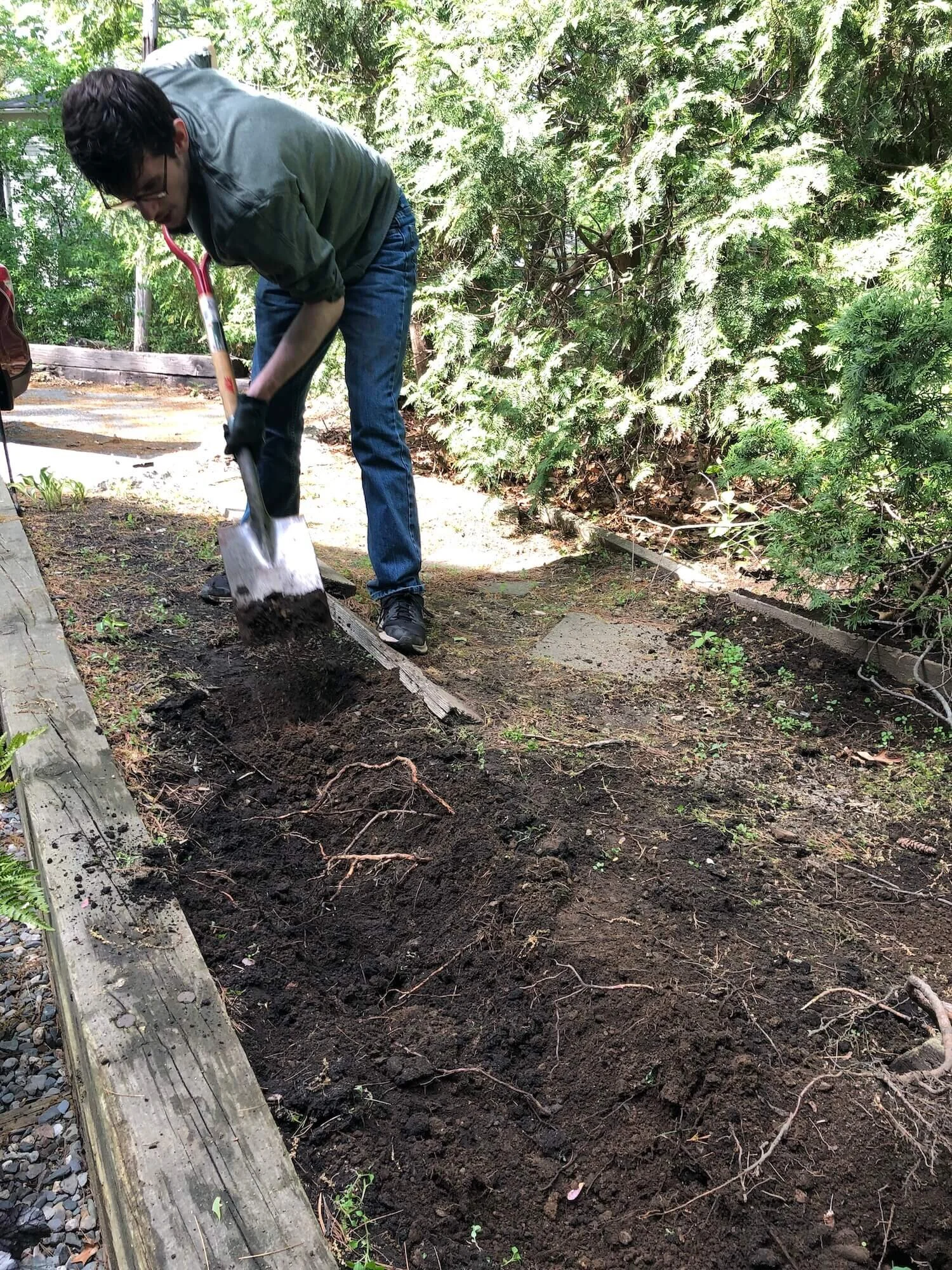 JRL Interiors — Pocket Patio (planting the shade garden)