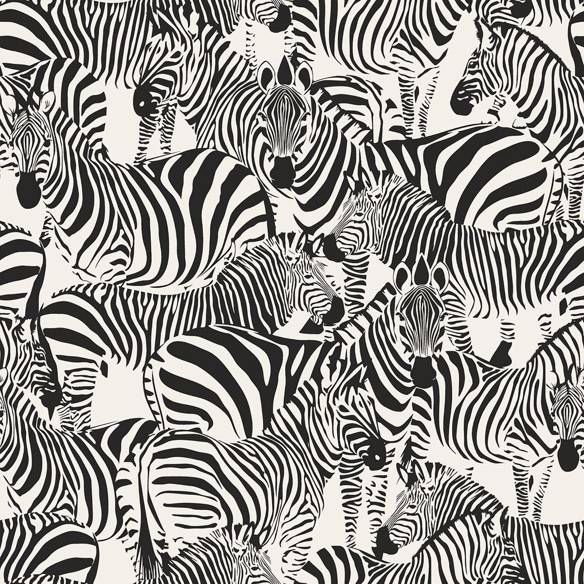 0041573_jemima-black-zebra-wallpaper.jpg