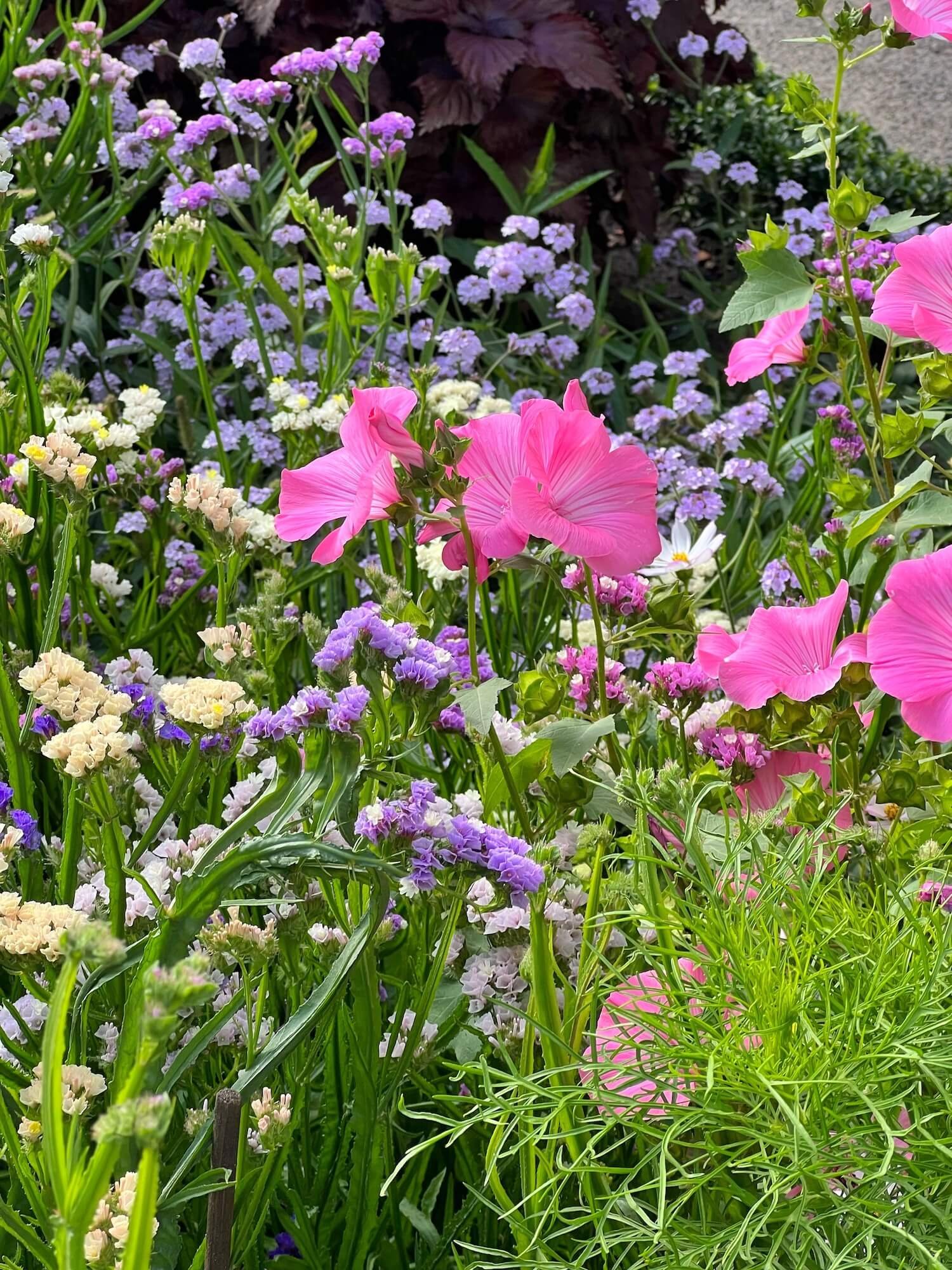marble house orangerie garden pink flowers and status.JPG