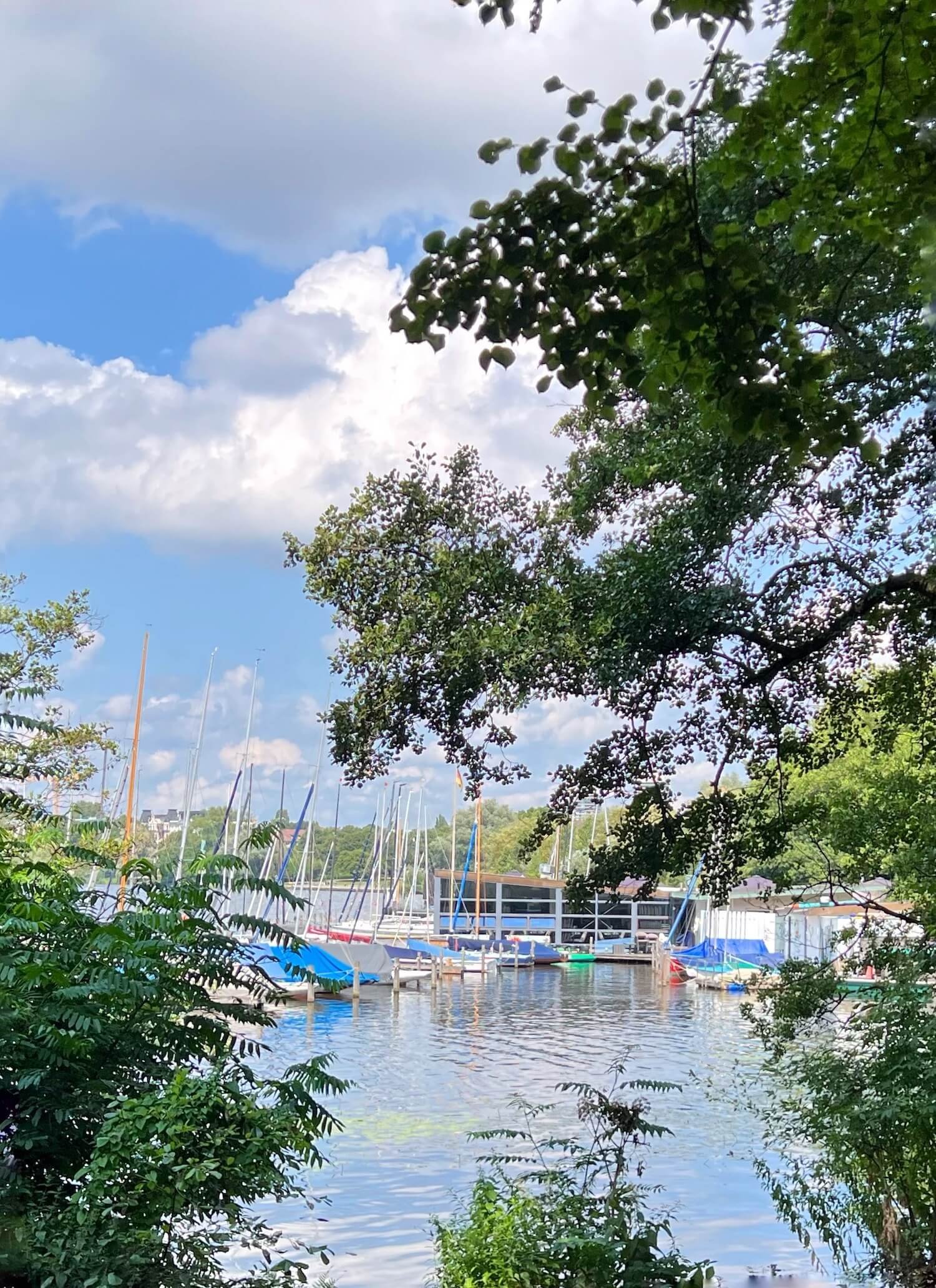 cafe view of lake.JPG