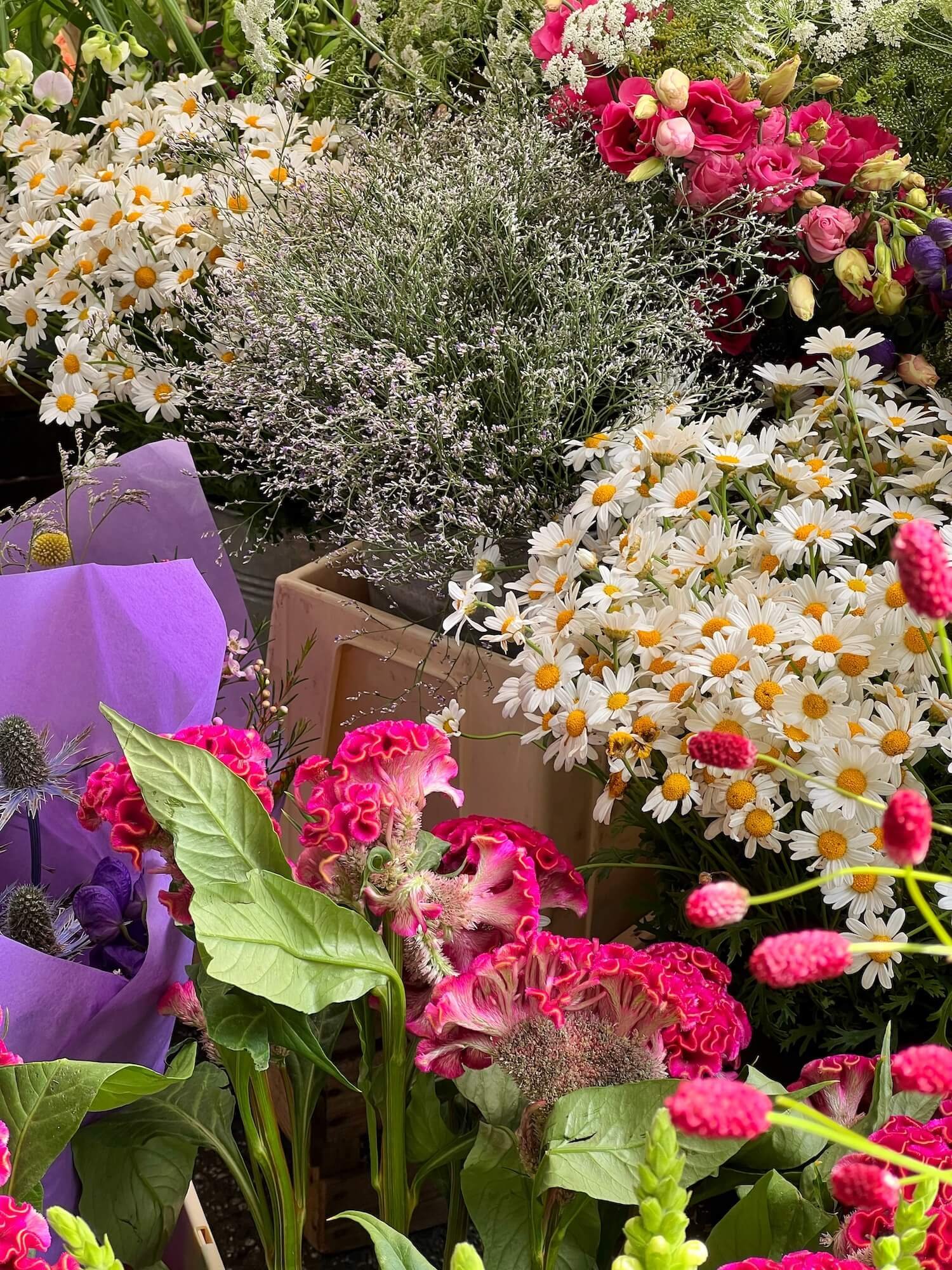 hamburg street market flowers.JPG