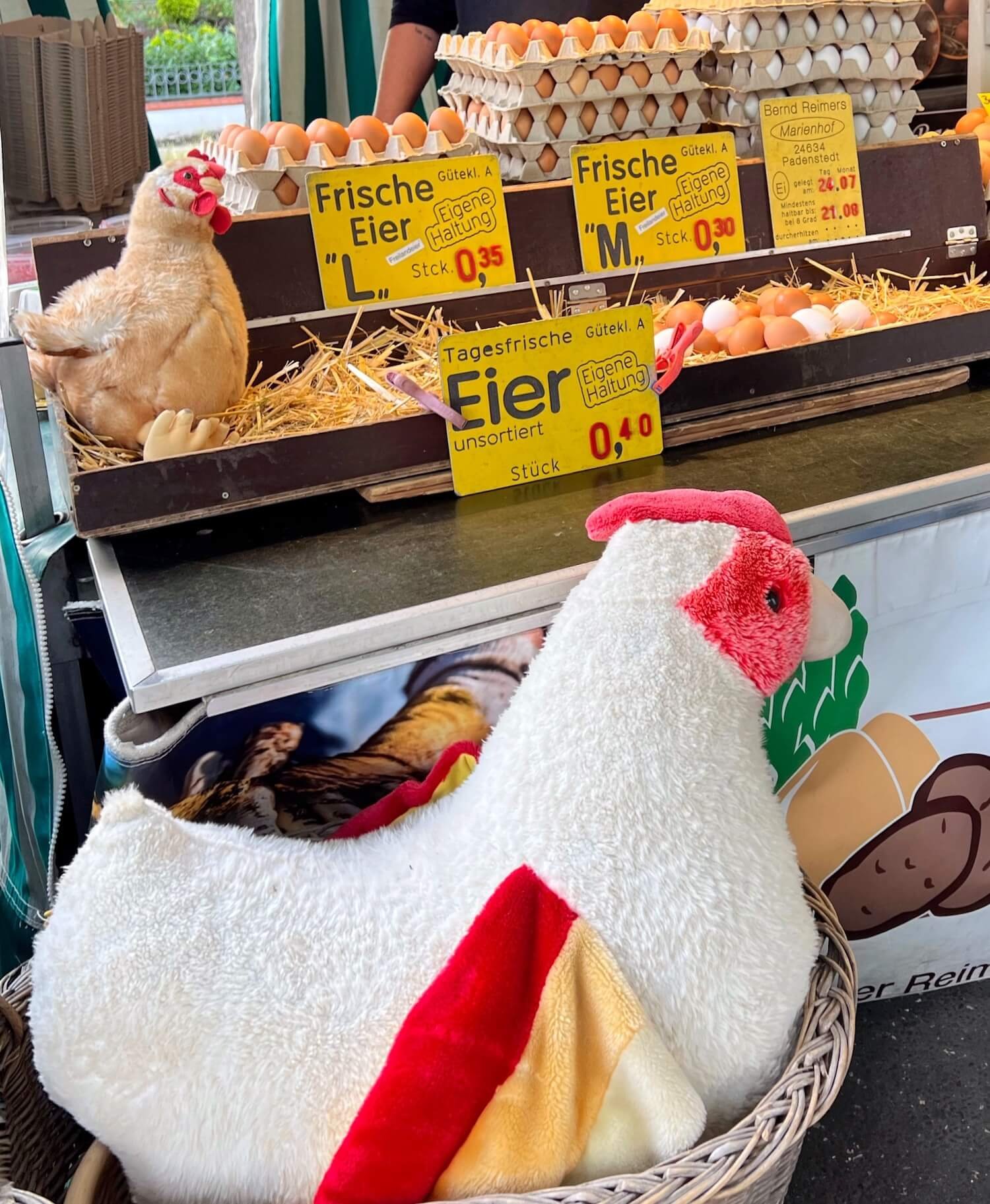 hamburg street market fresh eggs.JPG