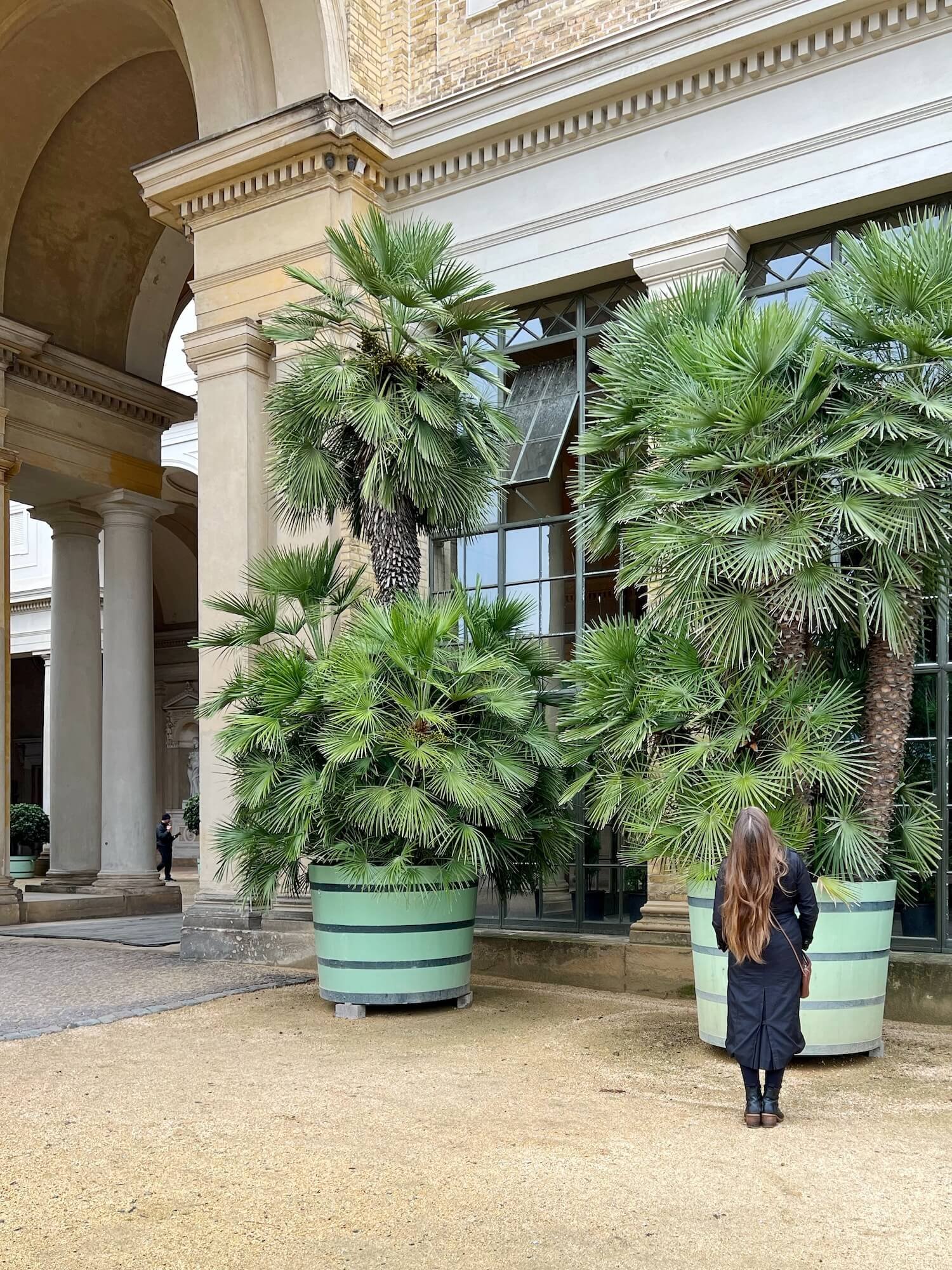 giant palm trees outside the orangerie.JPG