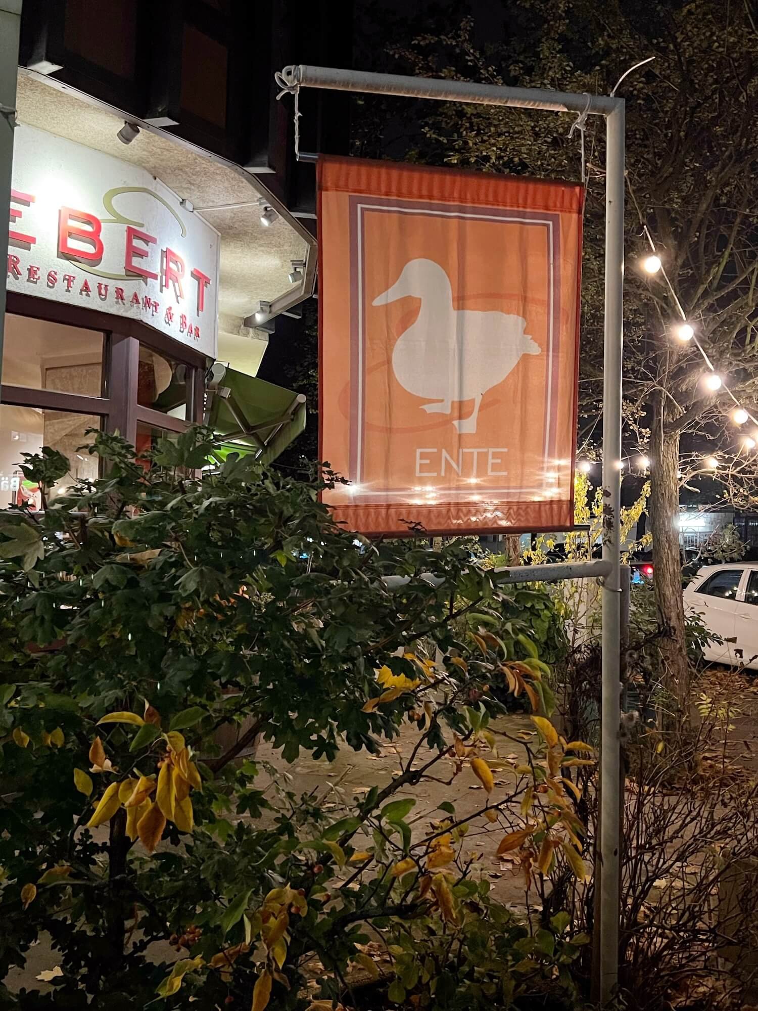 ebert duck flag.JPG