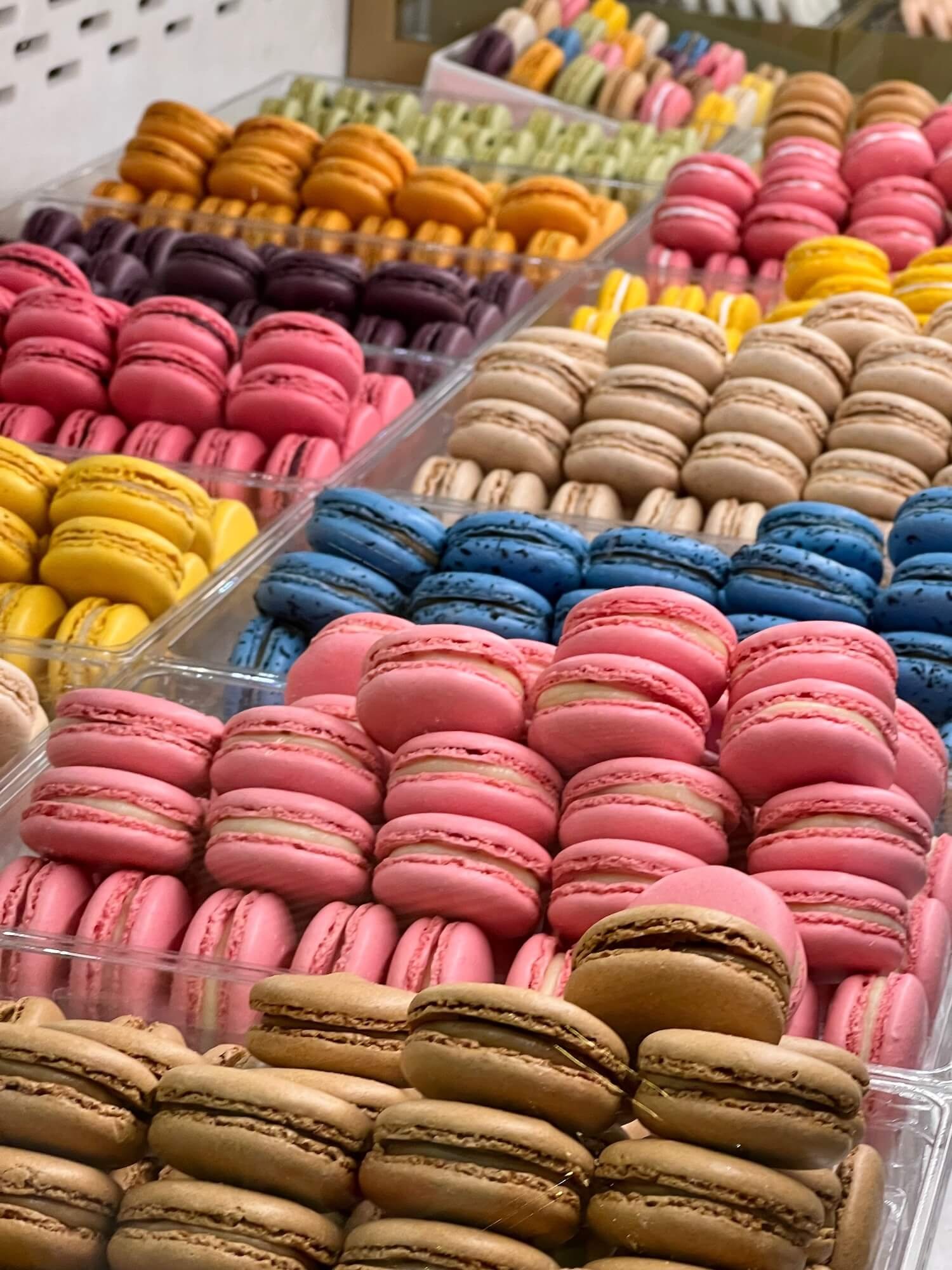 macaron case.jpeg