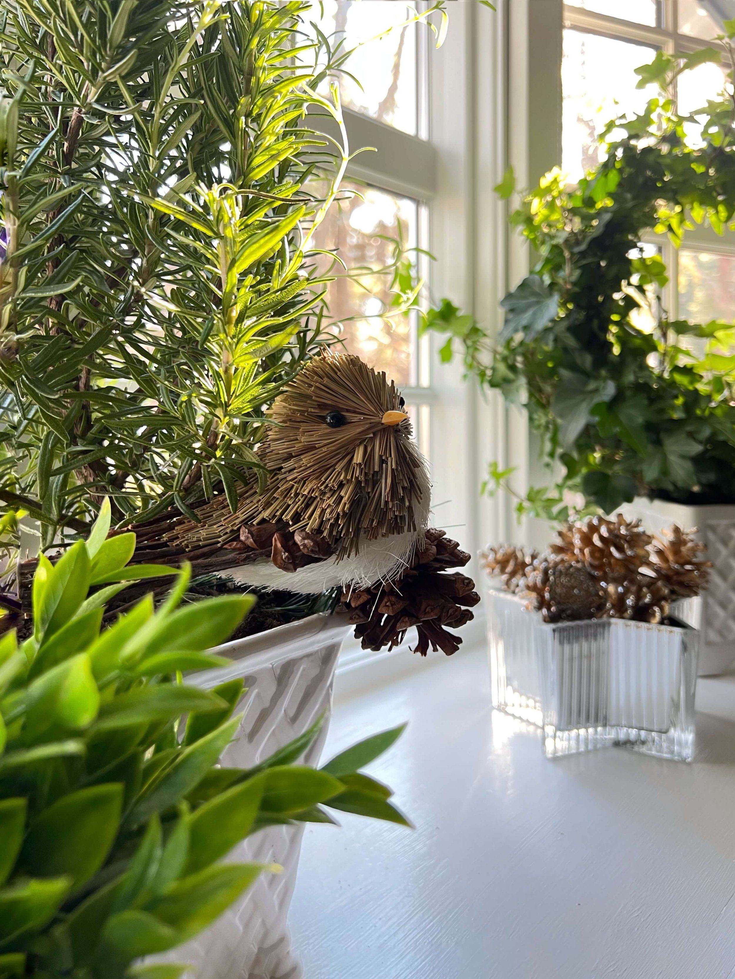 grass bird tucked into a rosemary plant.jpg