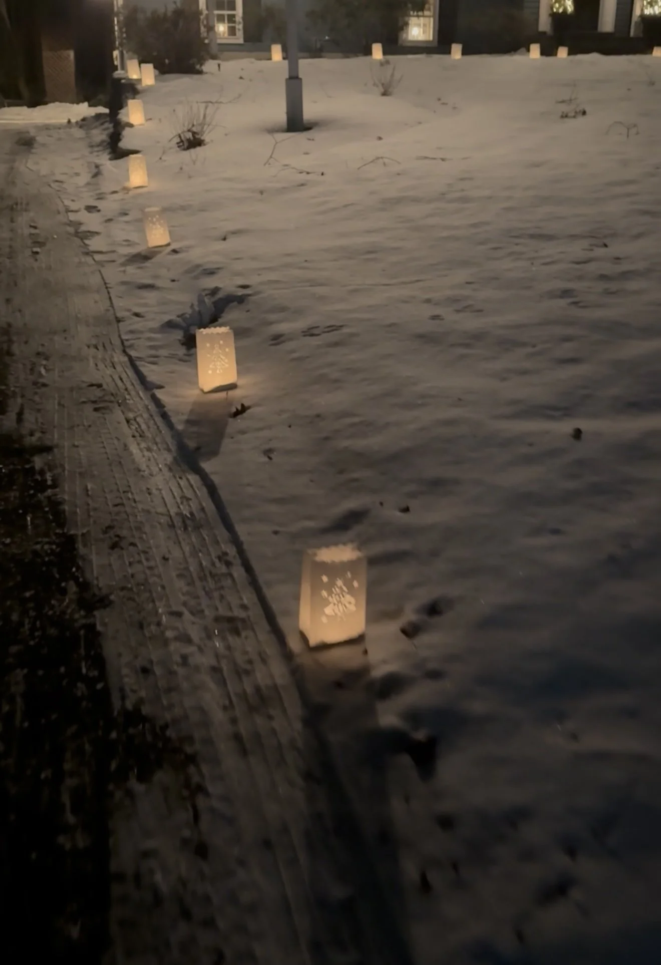 luminarias along driveway.jpeg