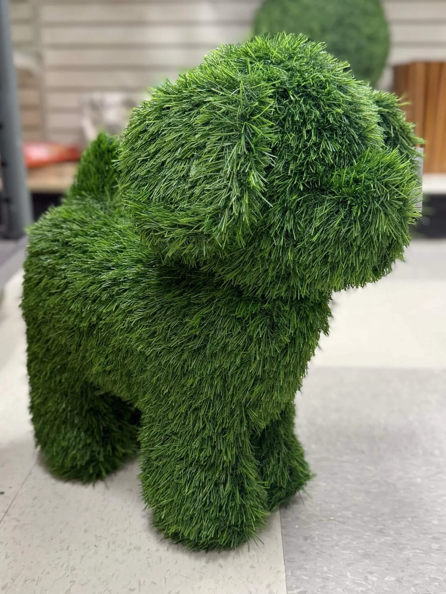 grass dog.jpeg