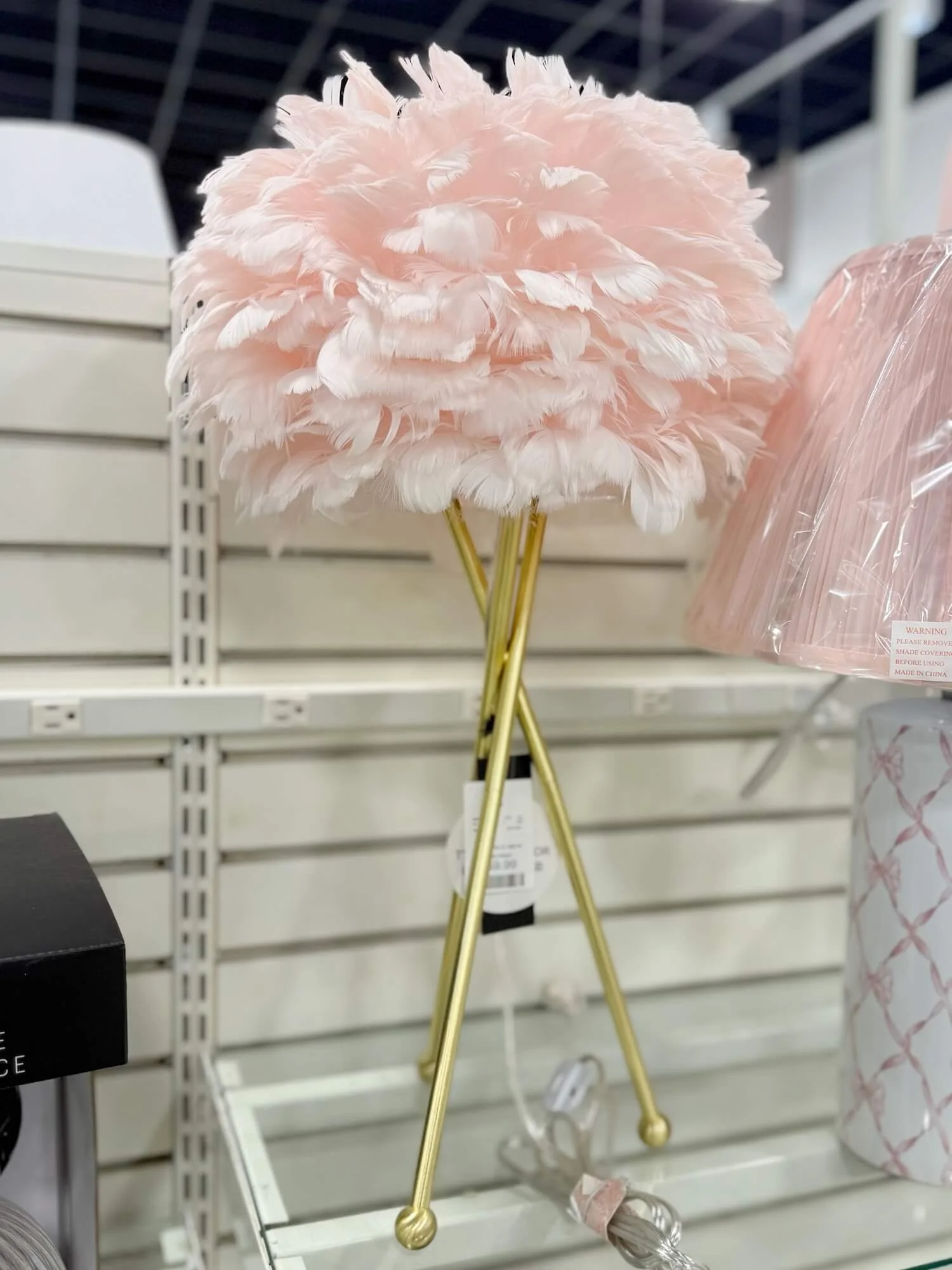 feather table lamp.jpeg