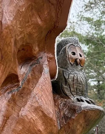 carved owl on free library stump.jpeg