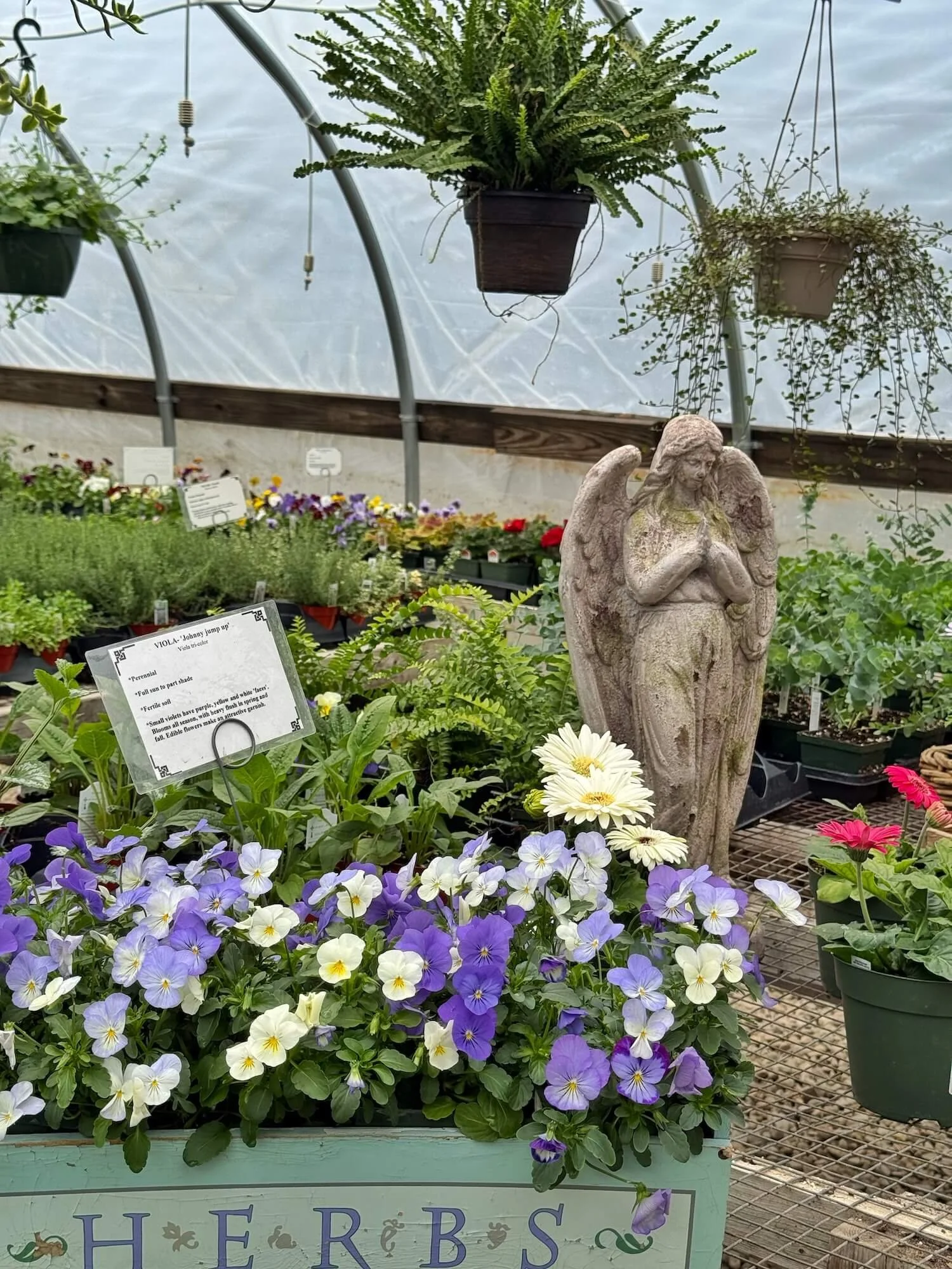 greenhouse flowers and statuary.jpeg