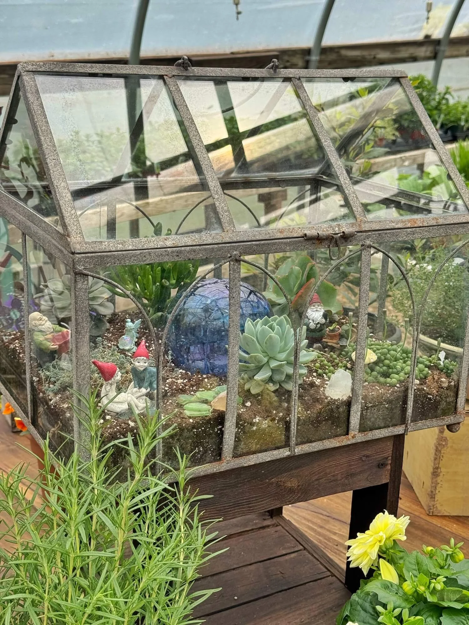 terrarium fairy garden.jpeg