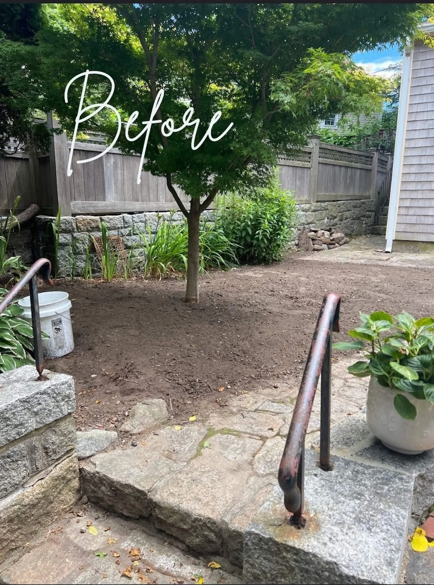Backyard garden BEFORE.jpg