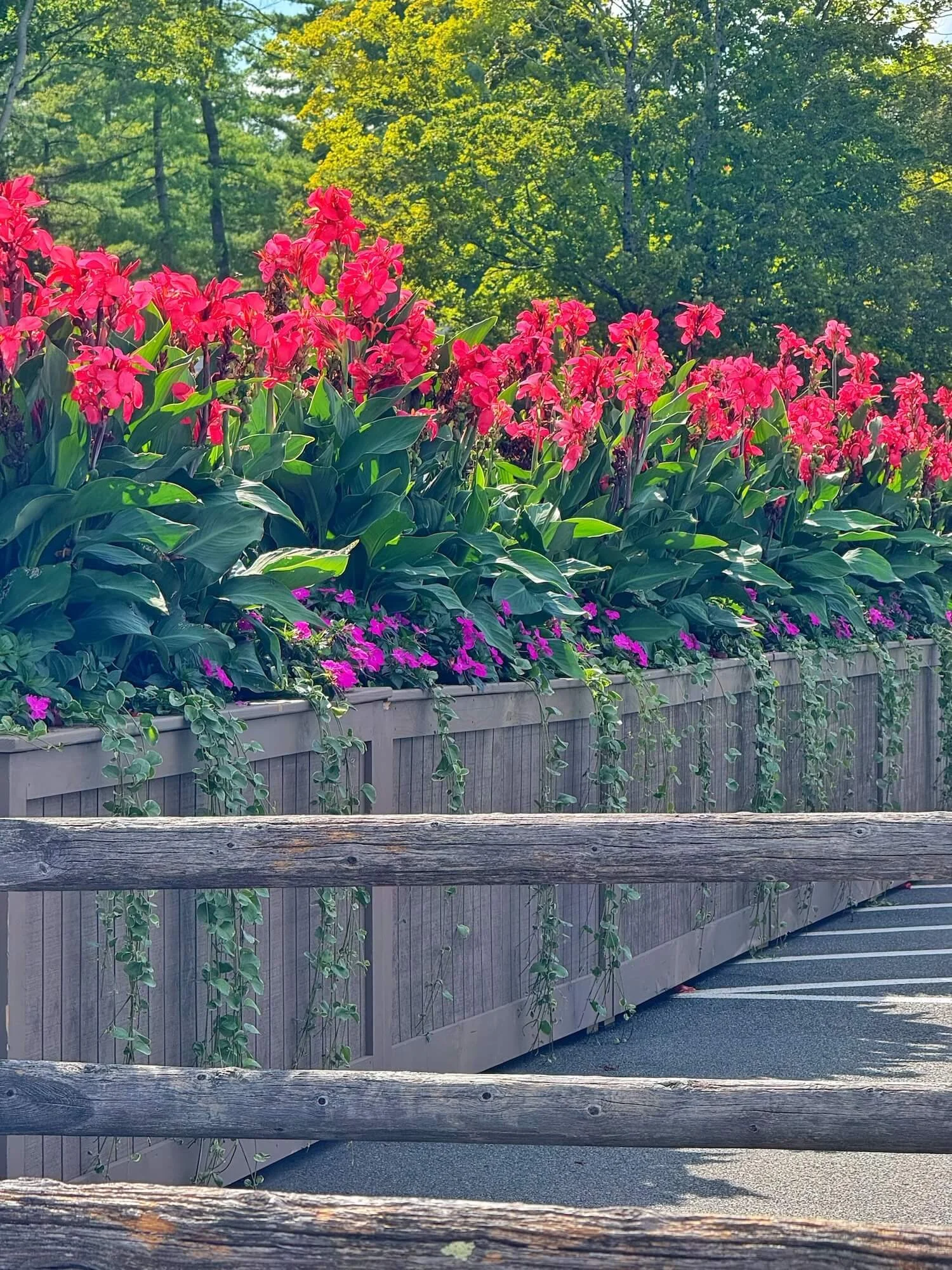 entrance planters