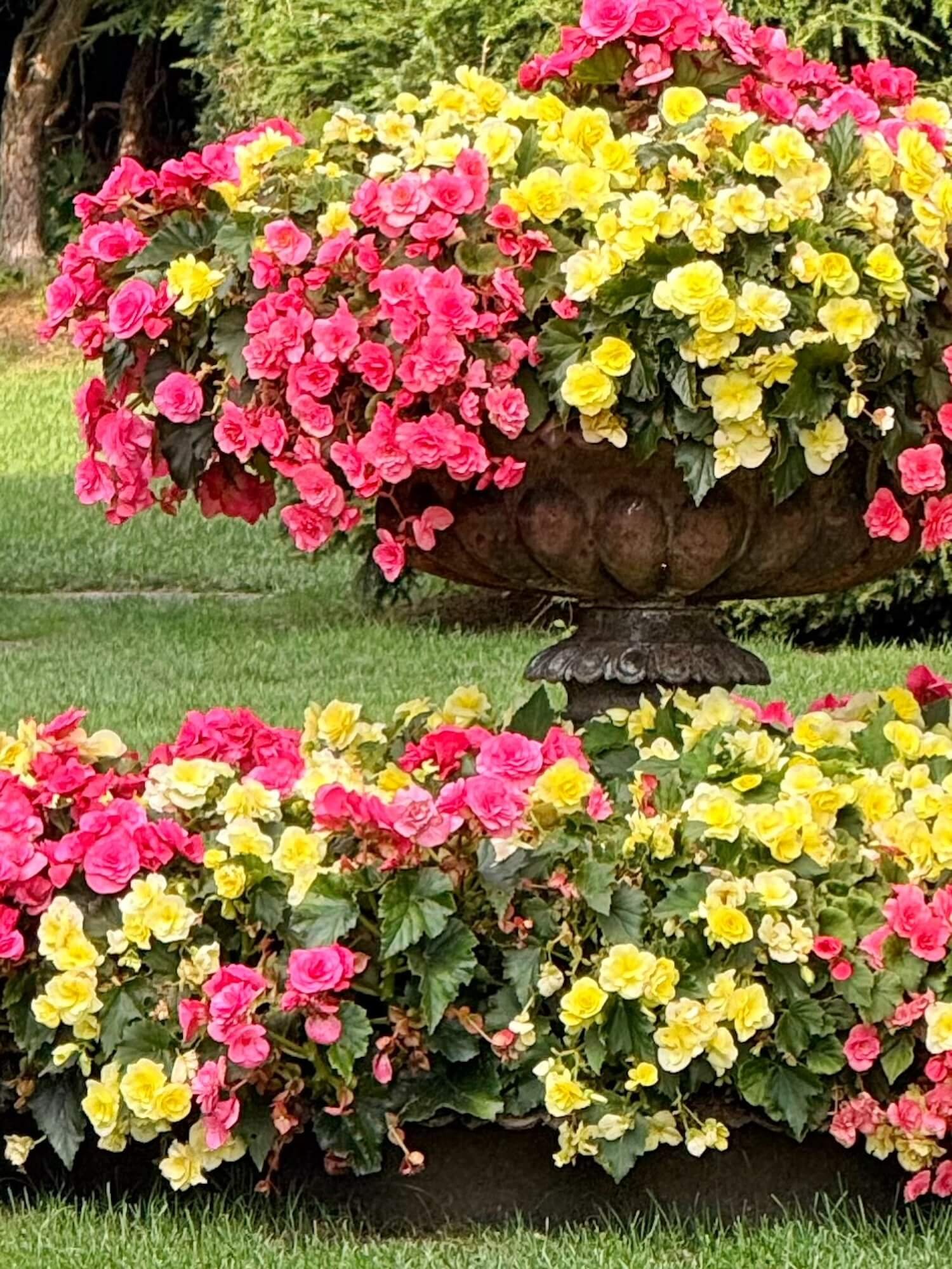 formal garden planter