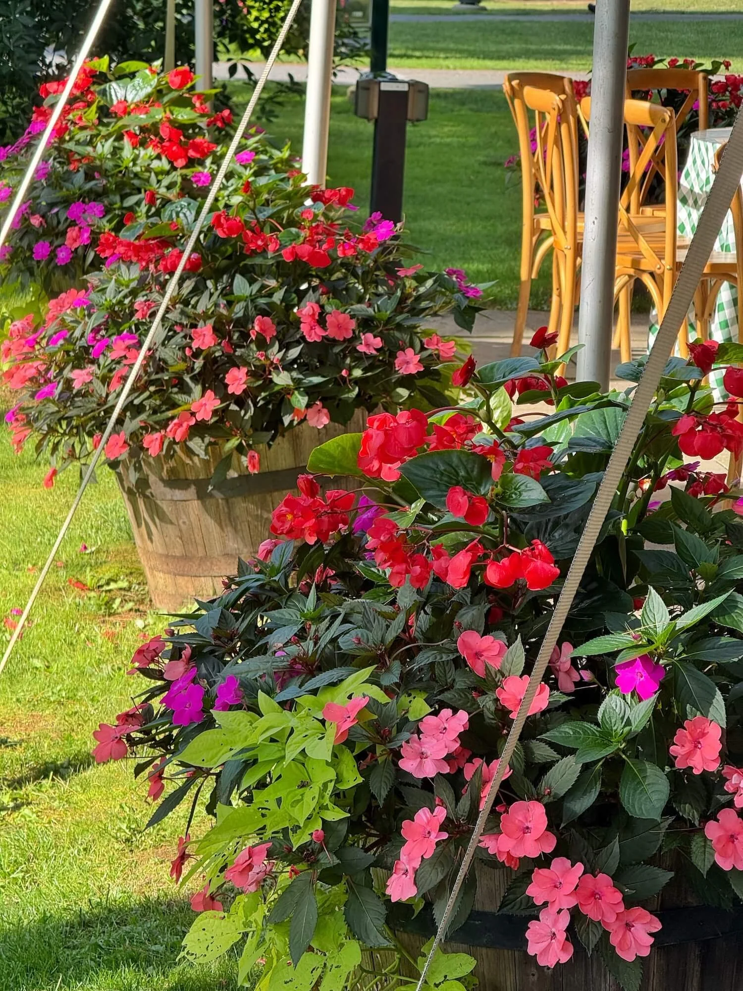 restaurant planters