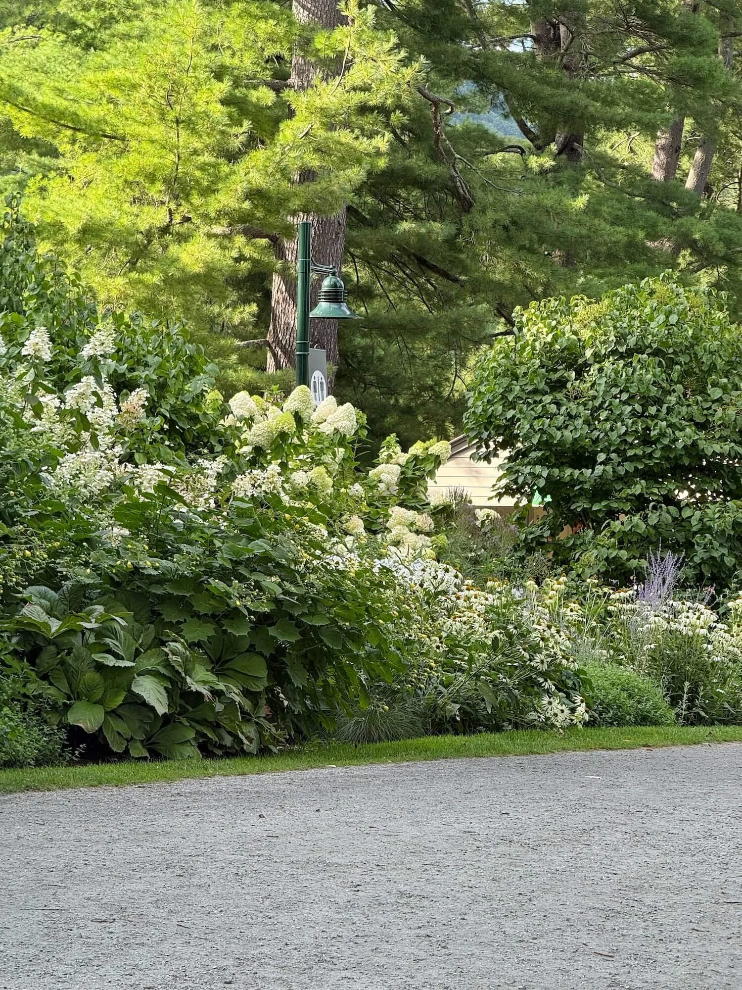 white garden