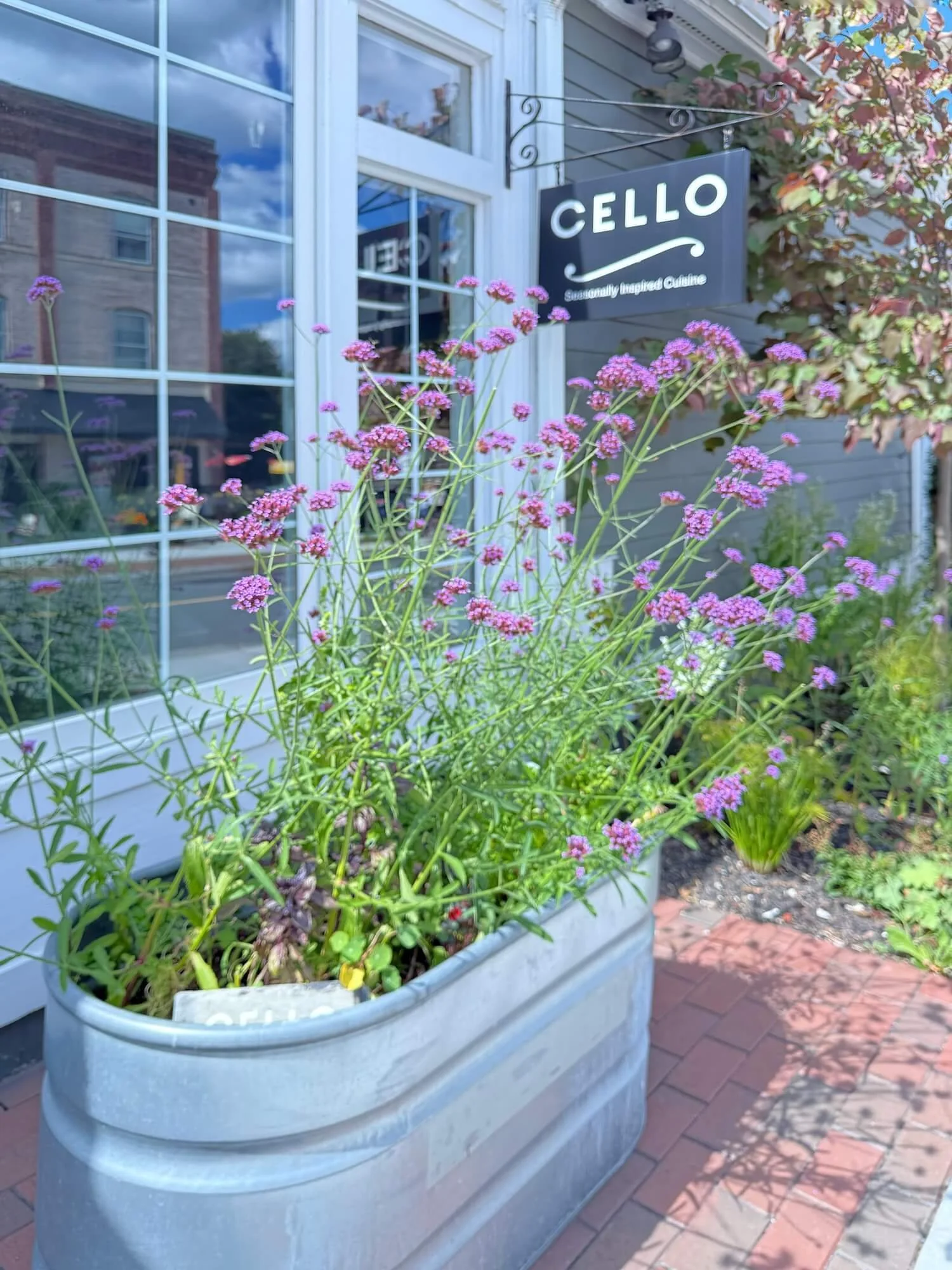 L cello planter.jpeg