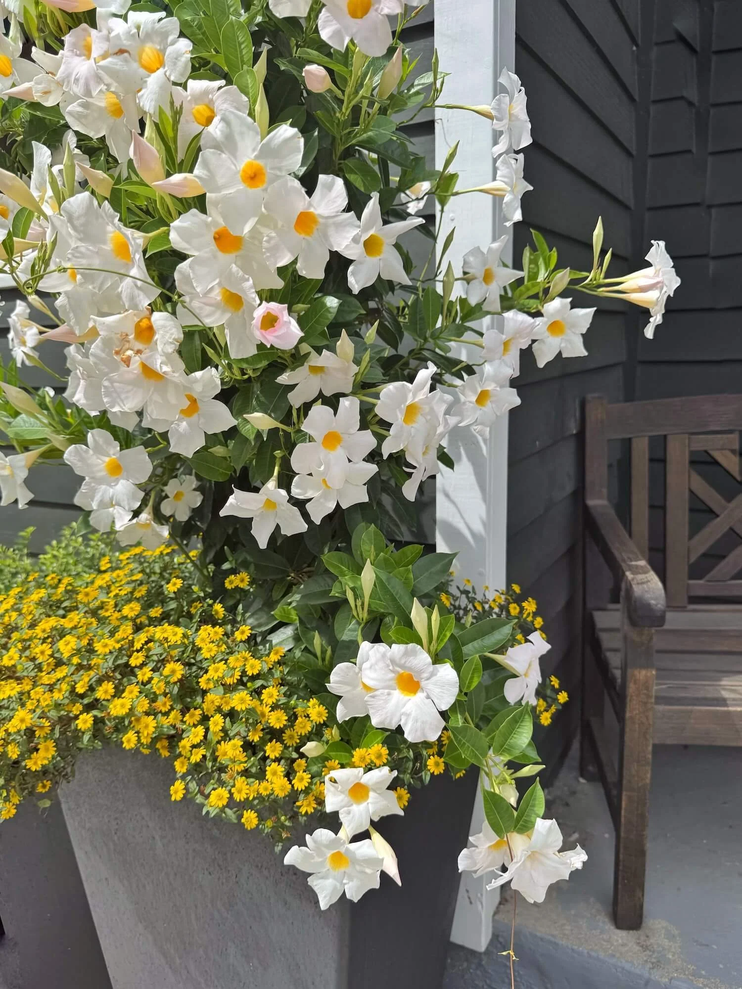 L shop planter.jpeg