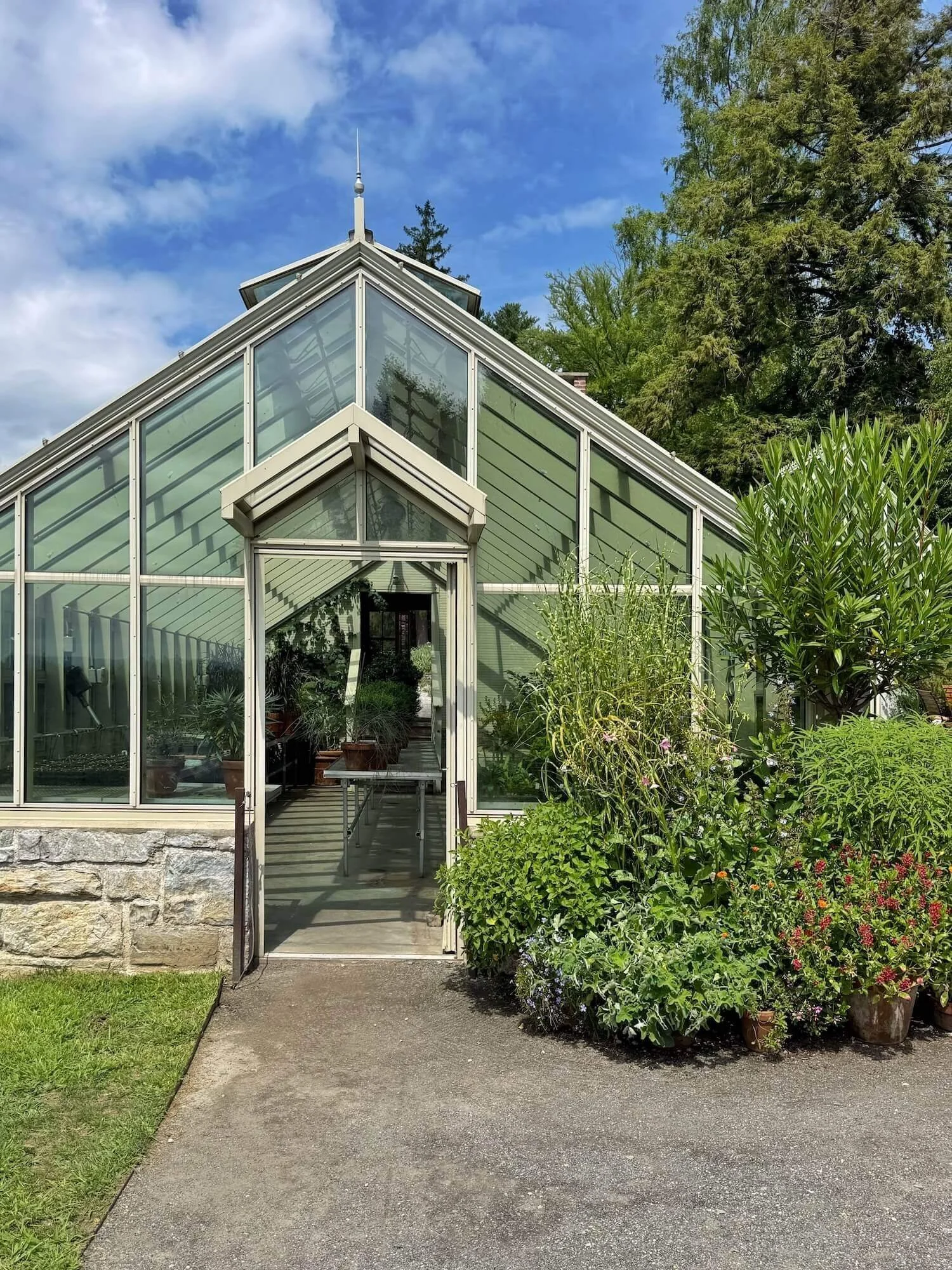 Ngreenhouse.jpeg