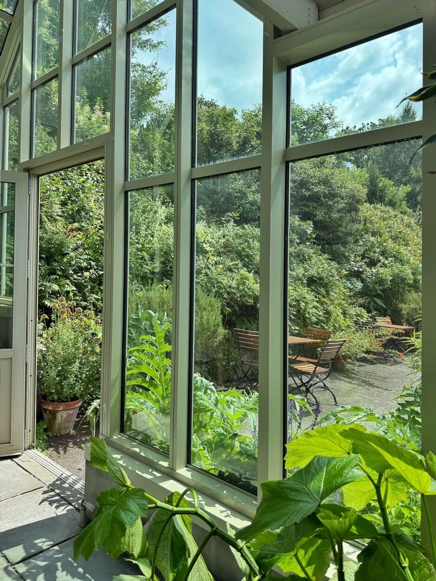 Ngreenhouseside.jpeg