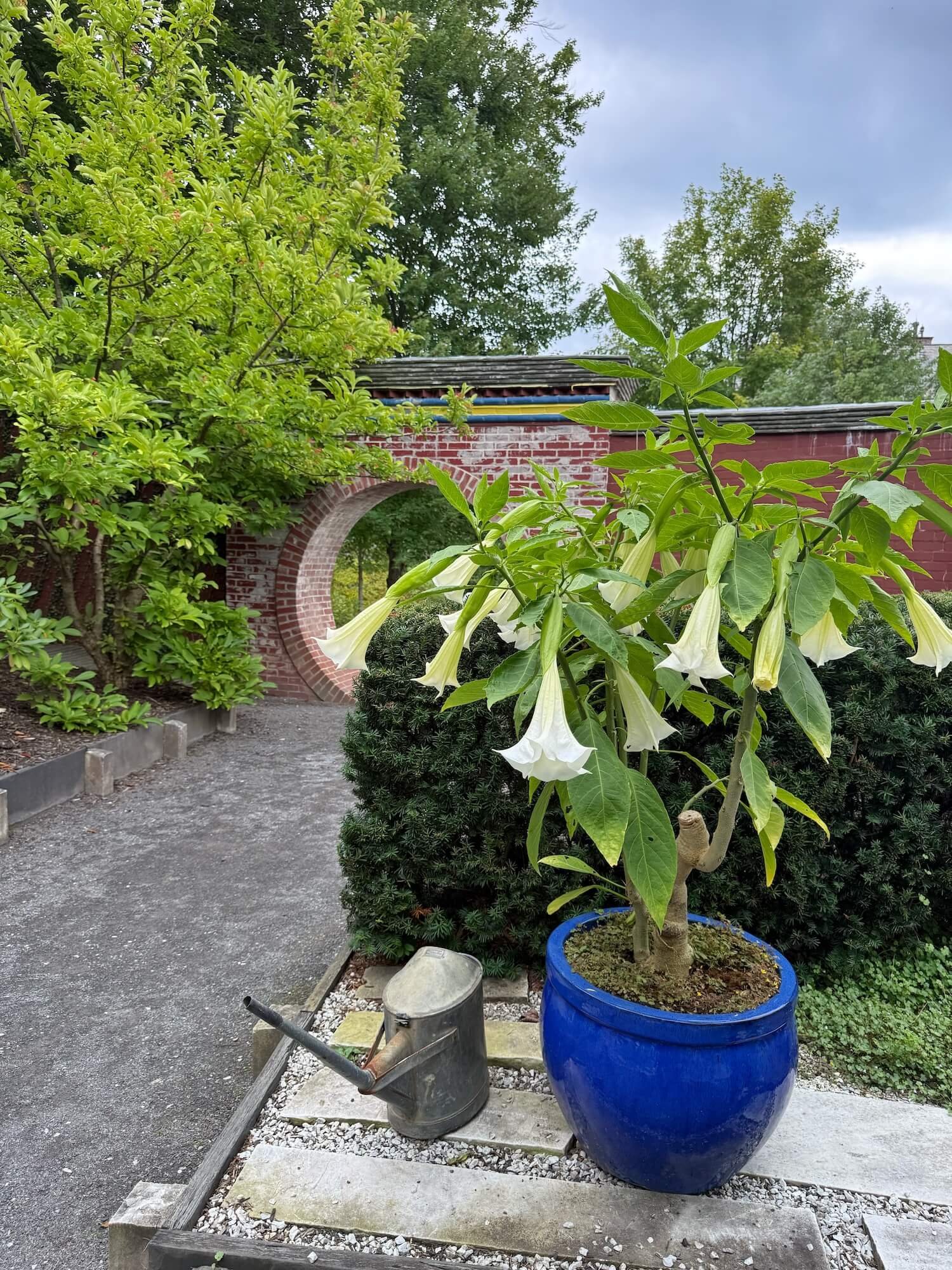 Nchinesegardenmoongate.jpeg