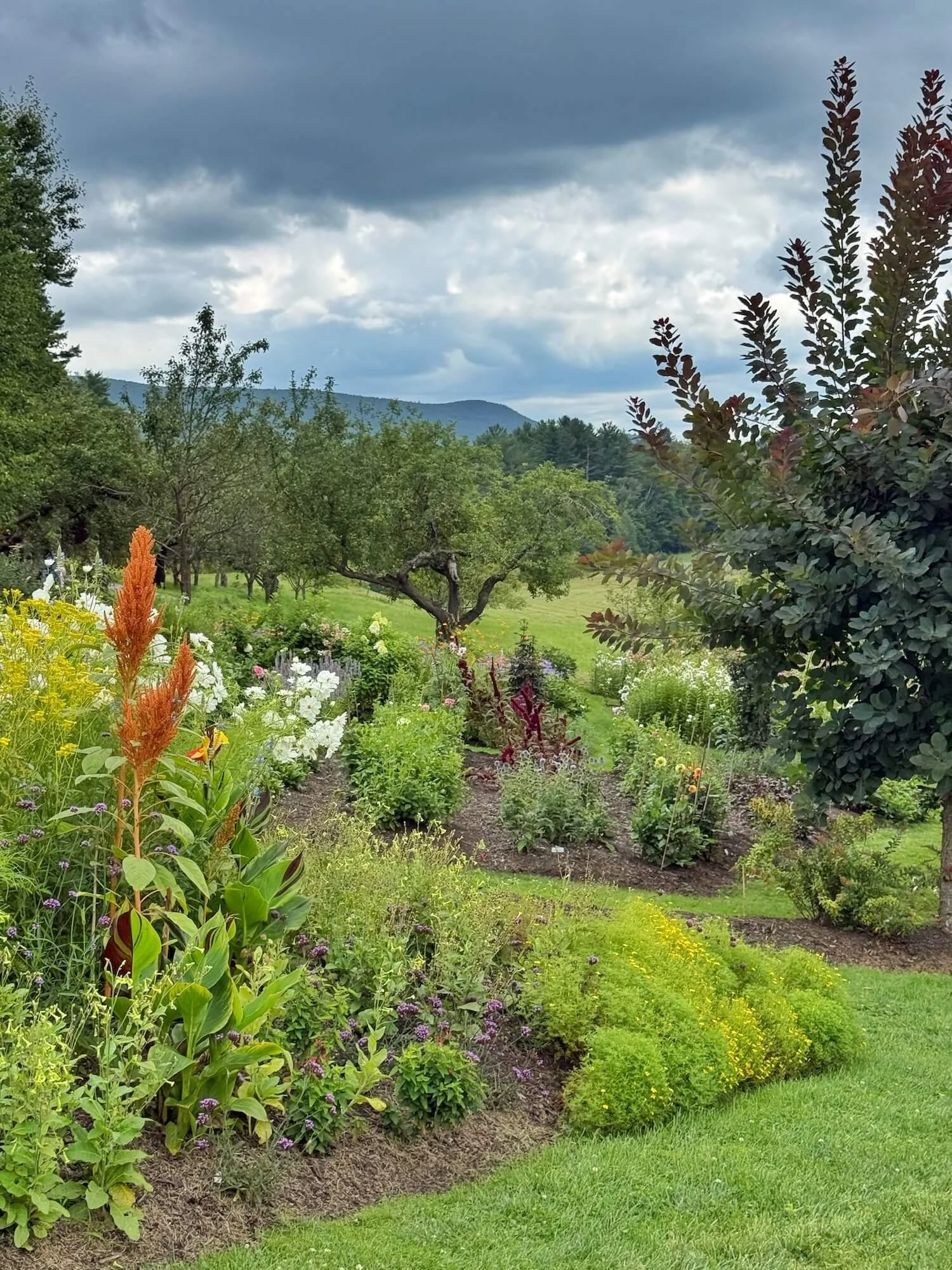 Ngardenview3.jpeg