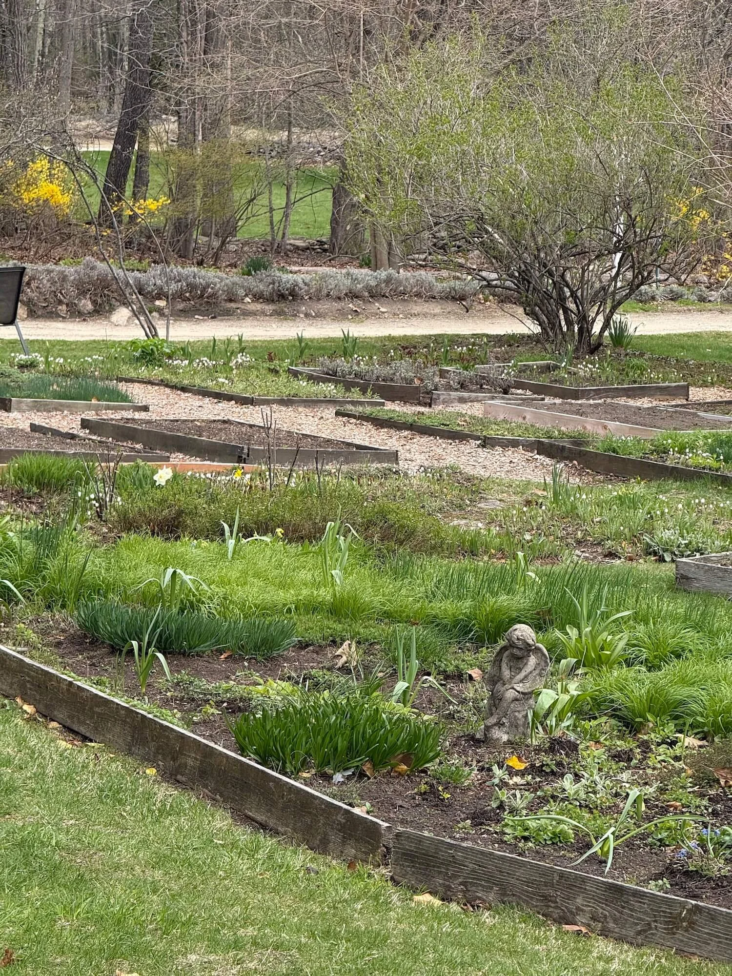 spring garden beds at pickity place