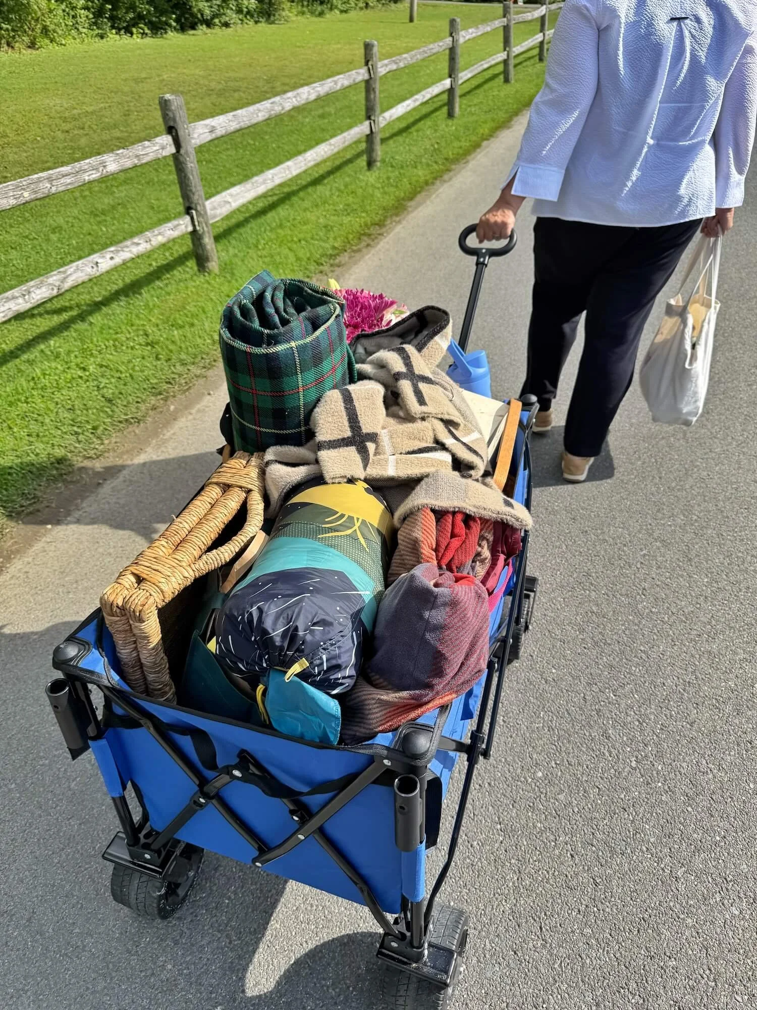 Tanglewood picnic supplies