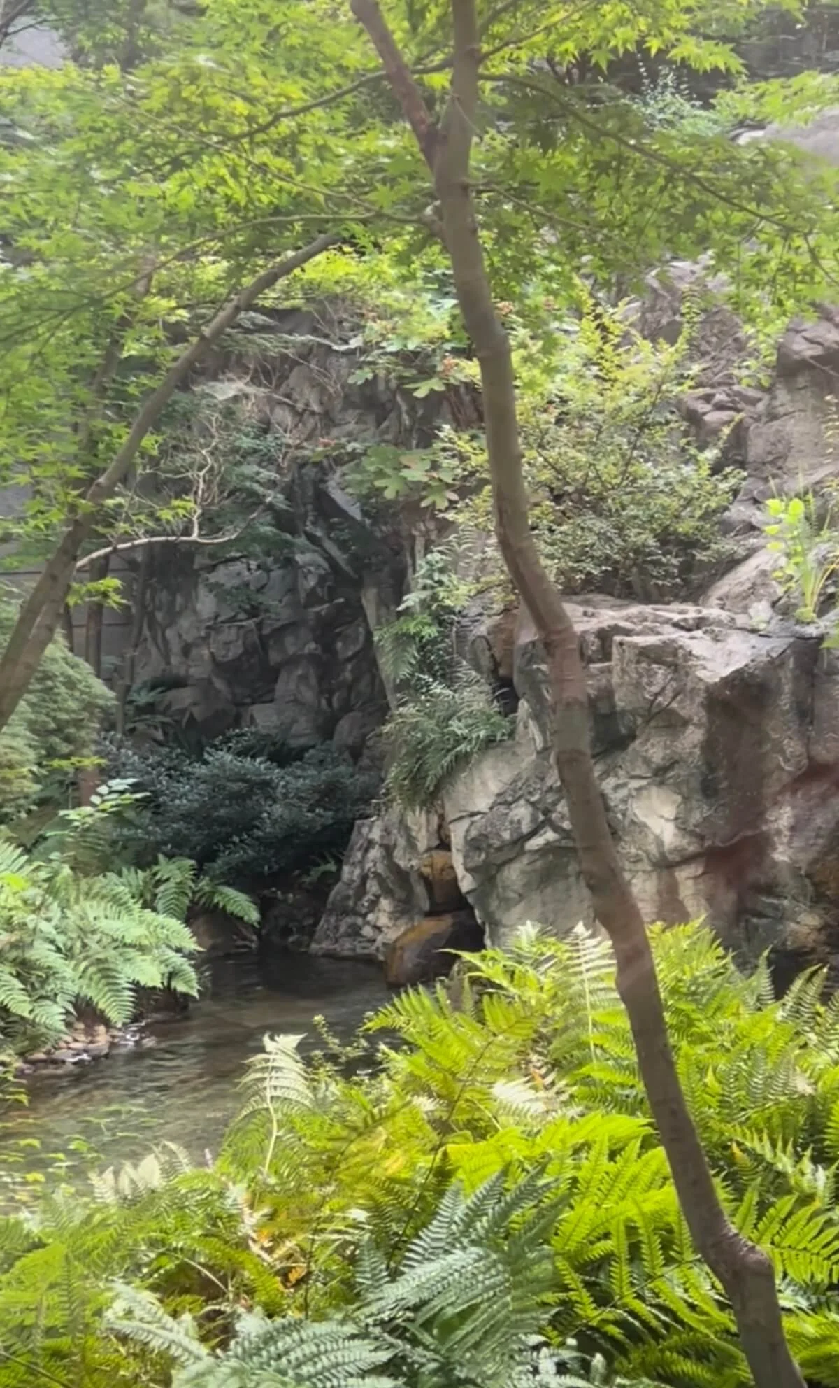 waterfall and gardens at the Hyatt Atlanta